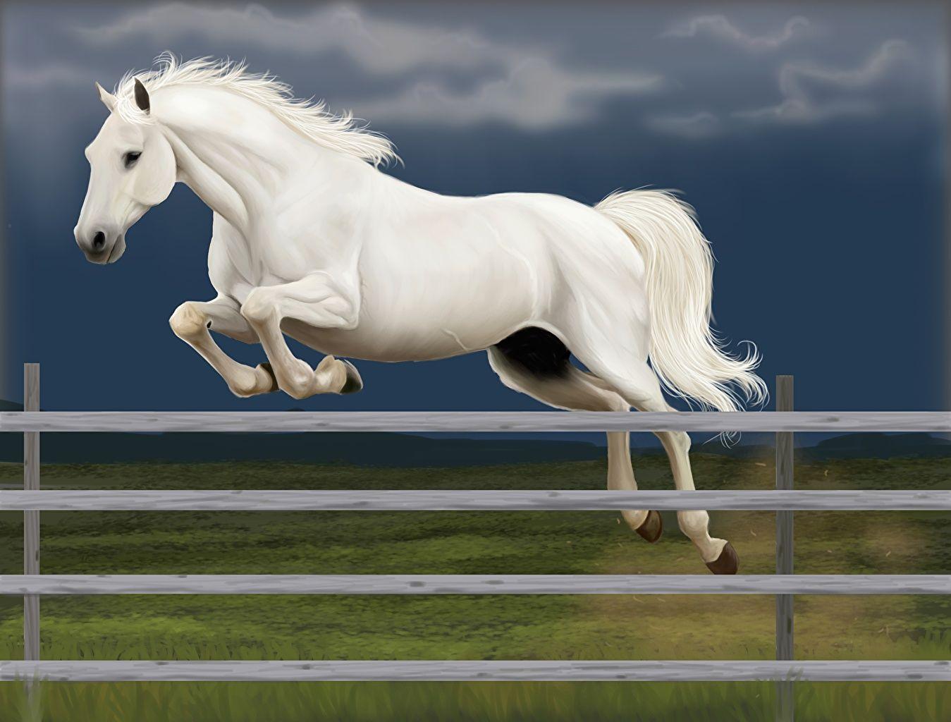 1349x1024 Desktop Wallpaper horse Corral White Jump Fence Animals Painting