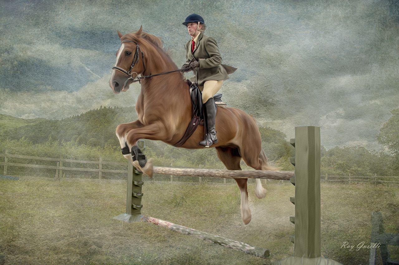 Equestrian Wallpapers - Top Free Equestrian Backgrounds - WallpaperAccess