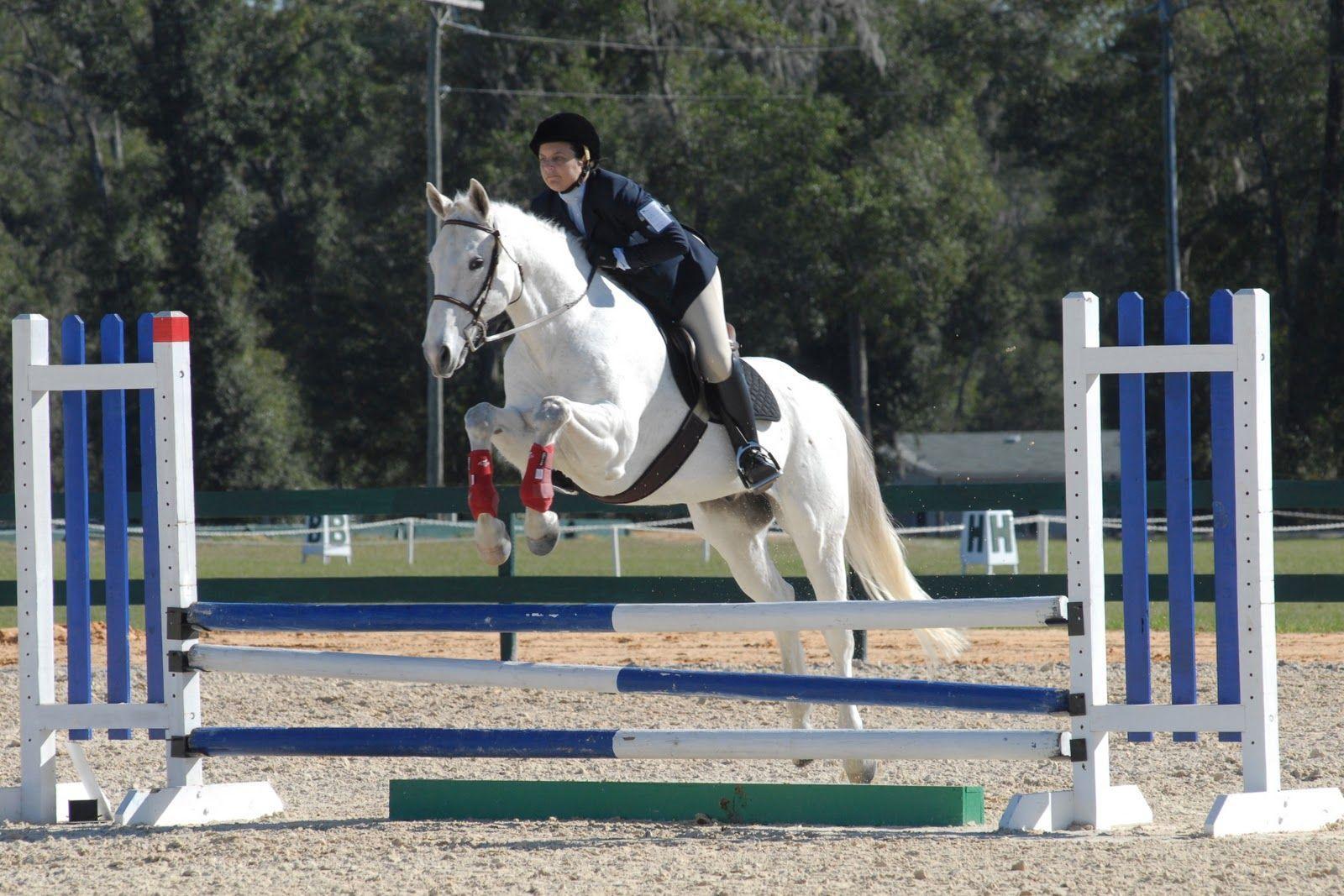 1600x1067 jumping horses. Horse Jumping. Horse jumping, Jumping picture
