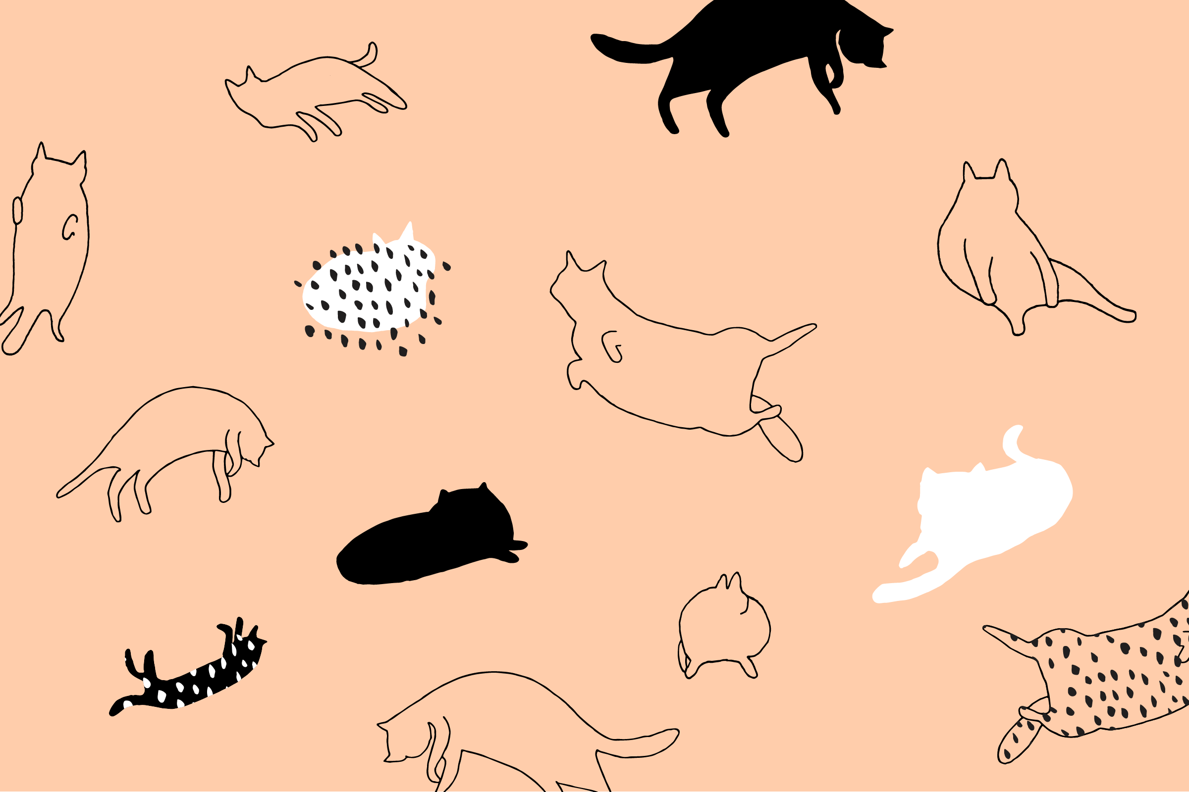 Cartoon Cat Desktop Wallpapers - Top Free Cartoon Cat Desktop