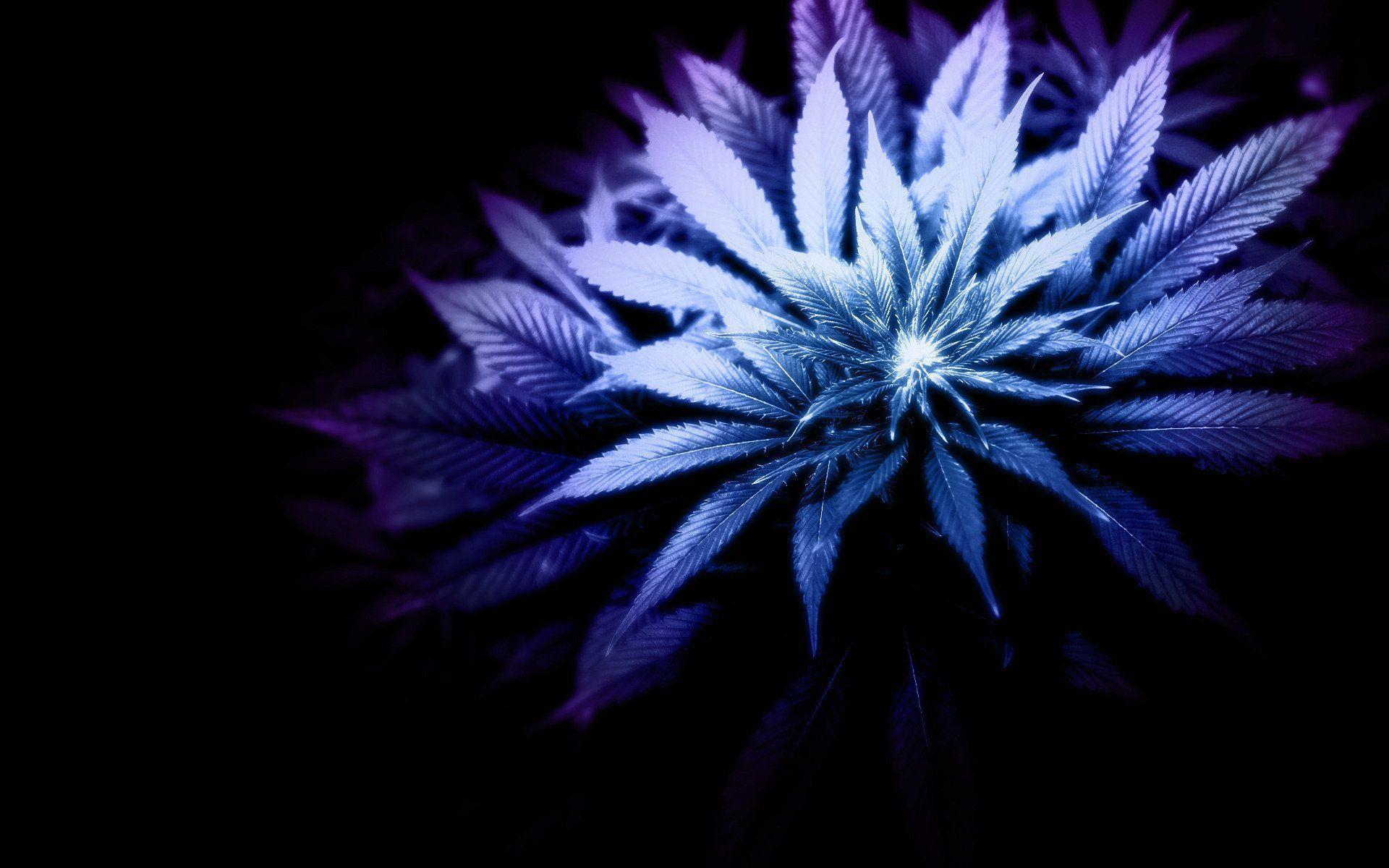 1920x1200 Purple Kush Wallpaper Smoke