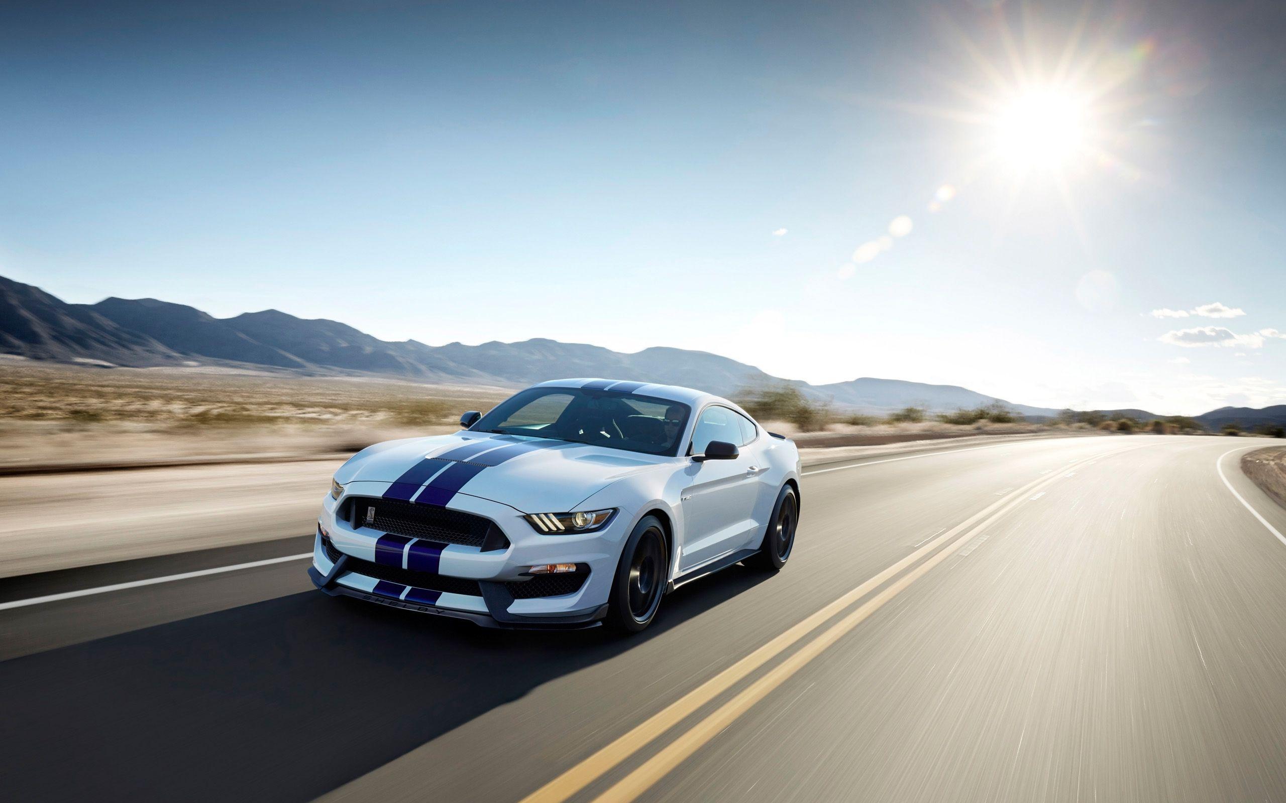2560x1600 Ford Mustang Shelby GT350 Wallpaper