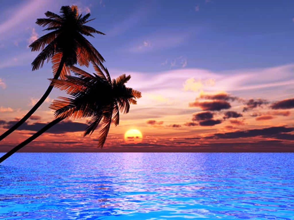1024x768 Beautiful Sea Wallpaper