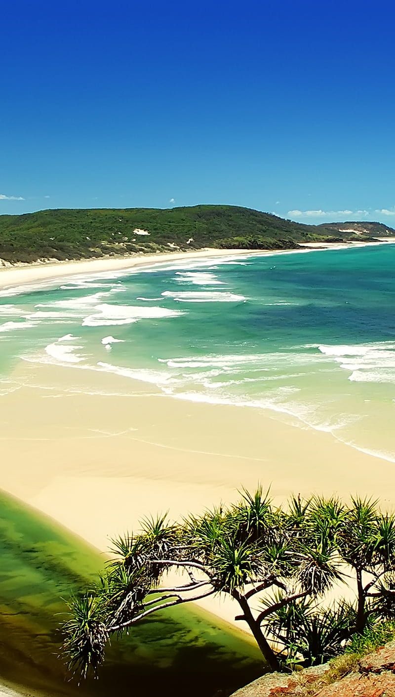 800x1411 Beach, nature, ocean, HD phone wallpaper