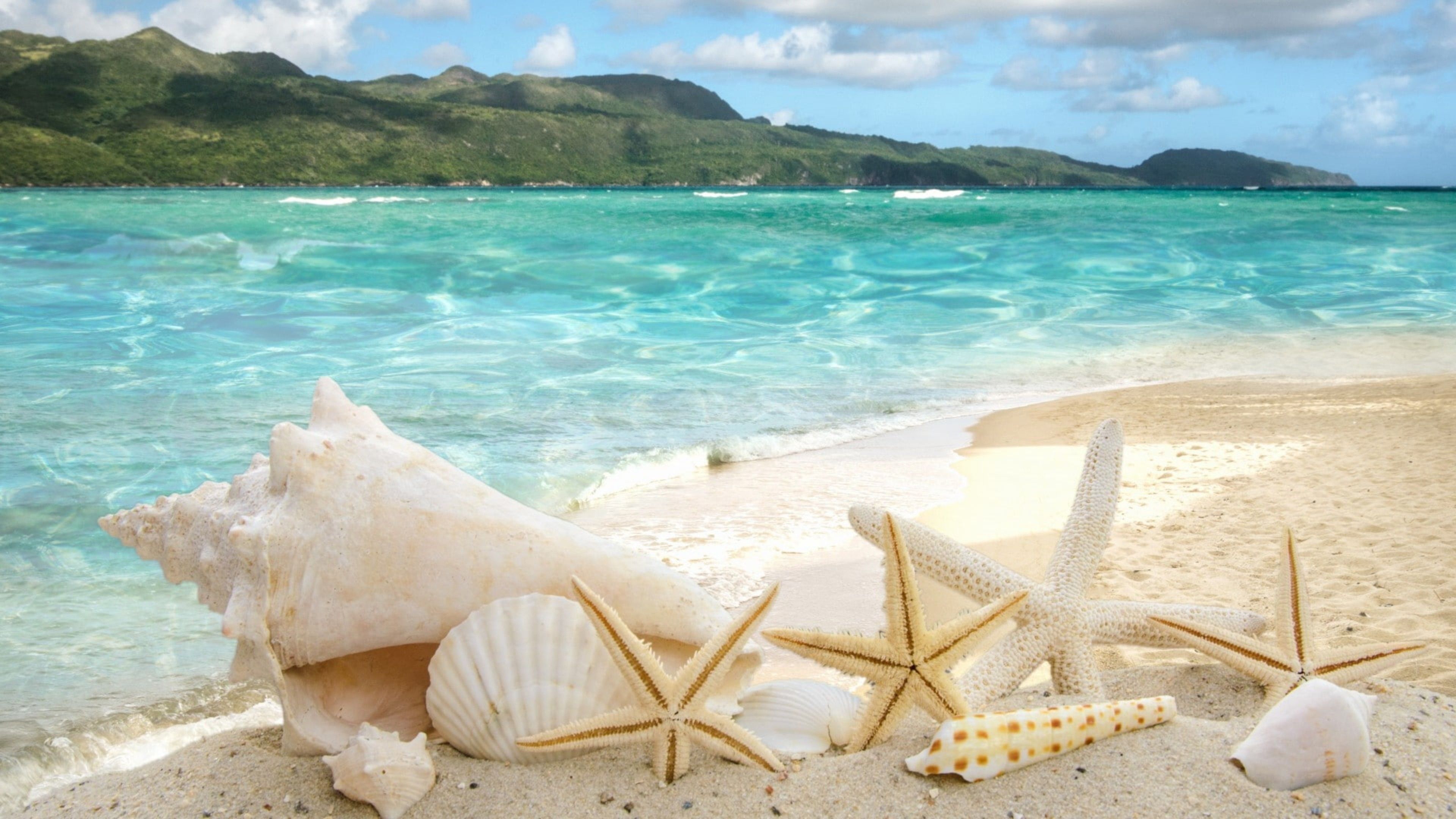 3840x2160 Nature Beach Sand Ocean Sea Shore Vacation Water Tropical 4K HD Wallpaper