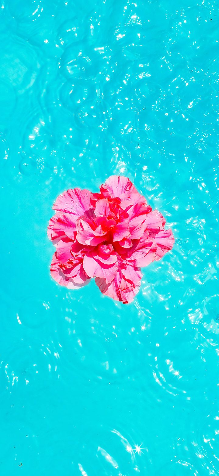 720x1560 Aesthetic Flower Floating On Turquoise Water 4K Phone Wallpaper