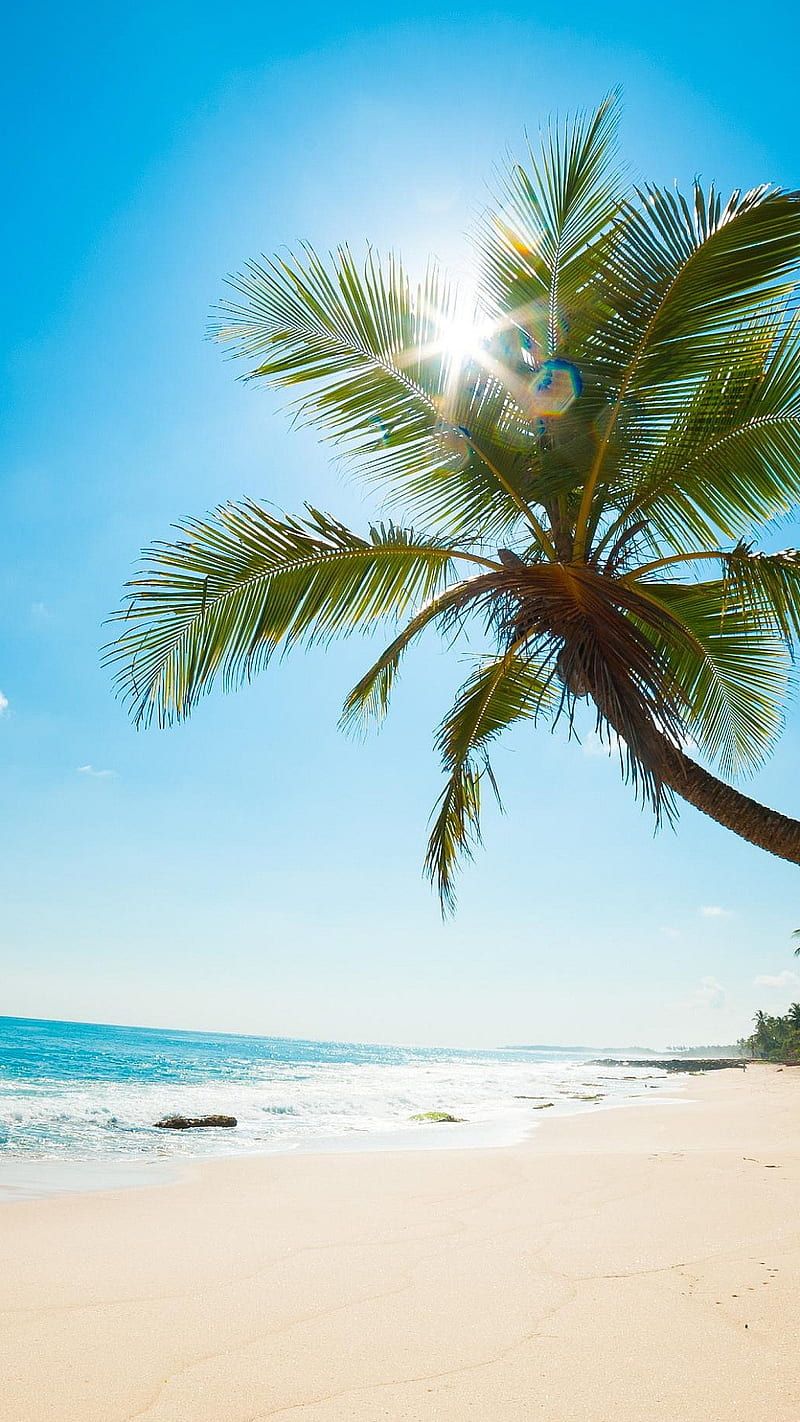 800x1422 Sea Beach, sun, nature, HD phone wallpaper