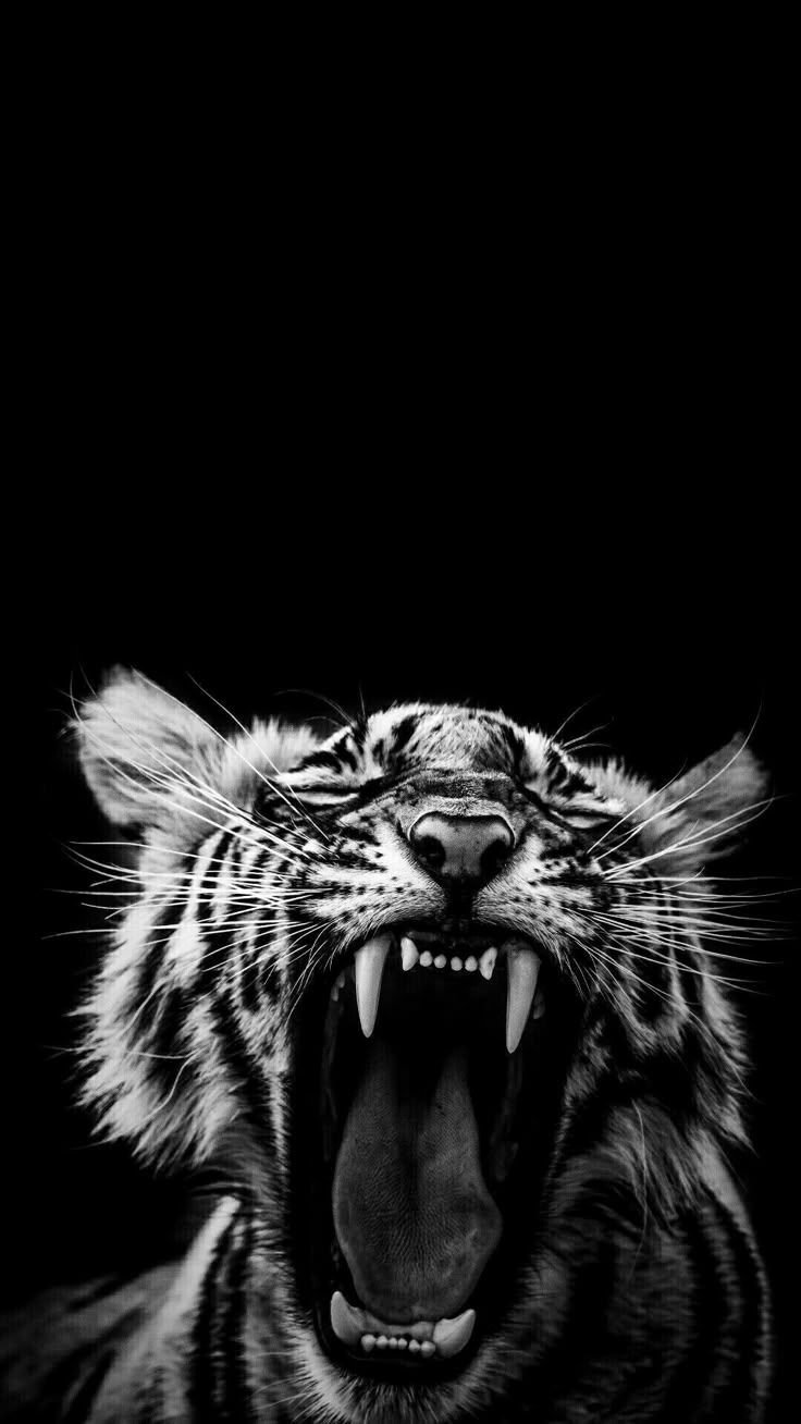 736x1308 WILD DARK WALLPAPERS