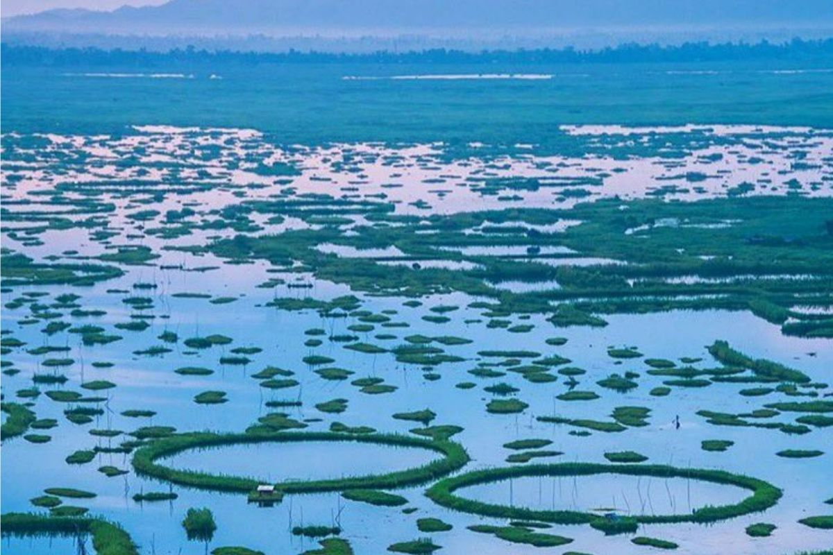 1200x800 Loktak Lake Photo. Latest Picture of Loktak Lake. Loktak Lake: Exclusive & Viral Photo Galleries & Image. India.com PhotoGallery