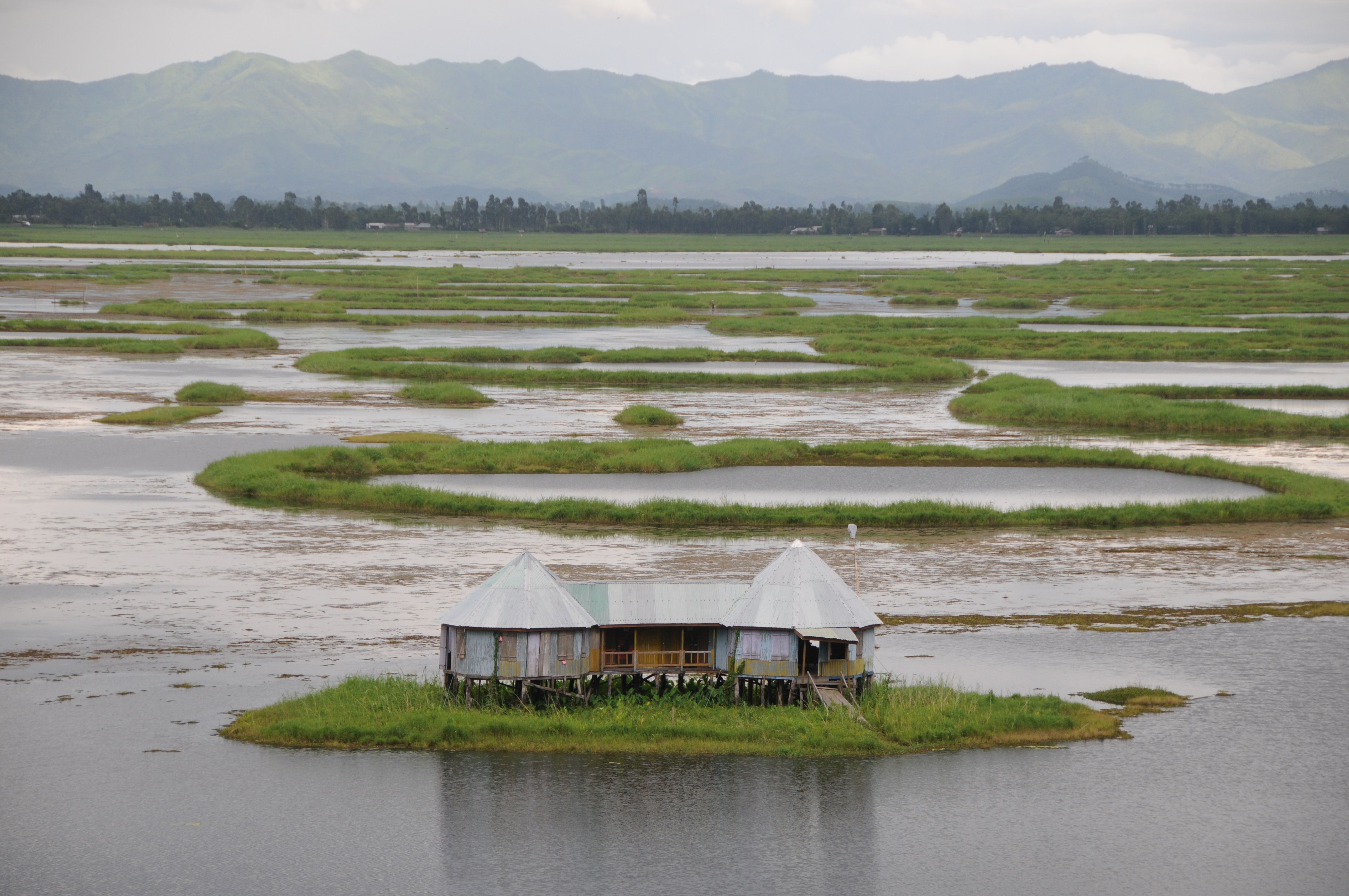 4288x2848 The World's Only Floating National Park Is Located In India Logical Indian