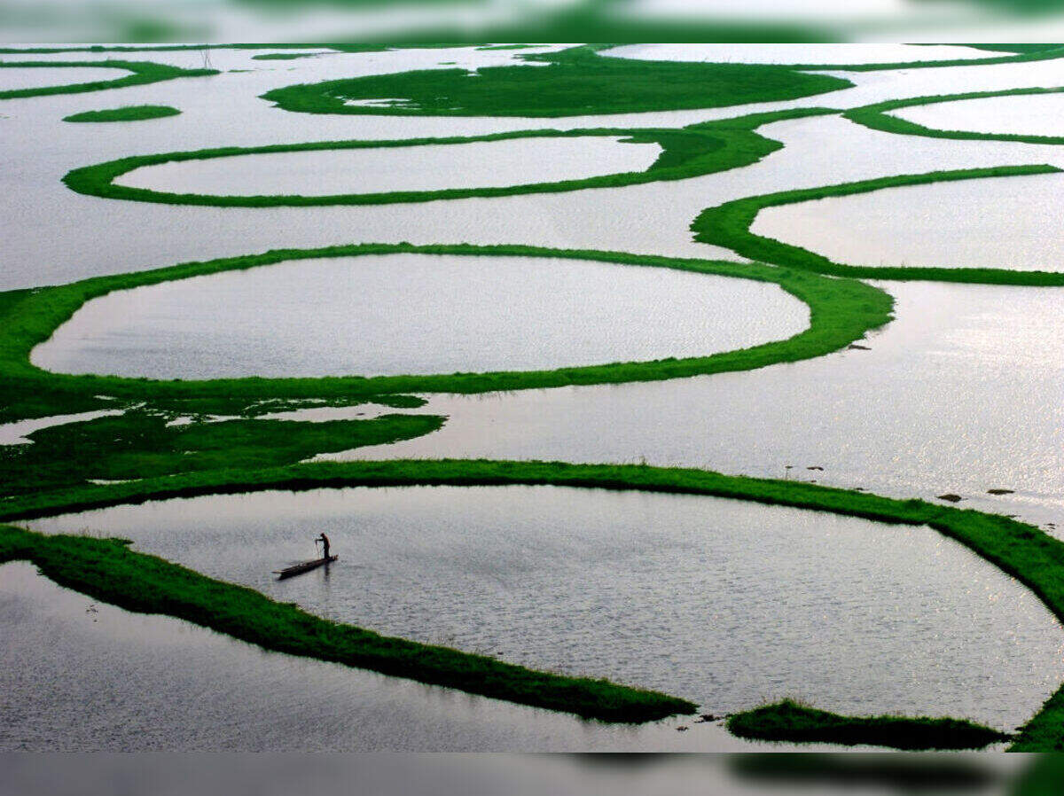 1200x898 Loktak: the world's only floating lake