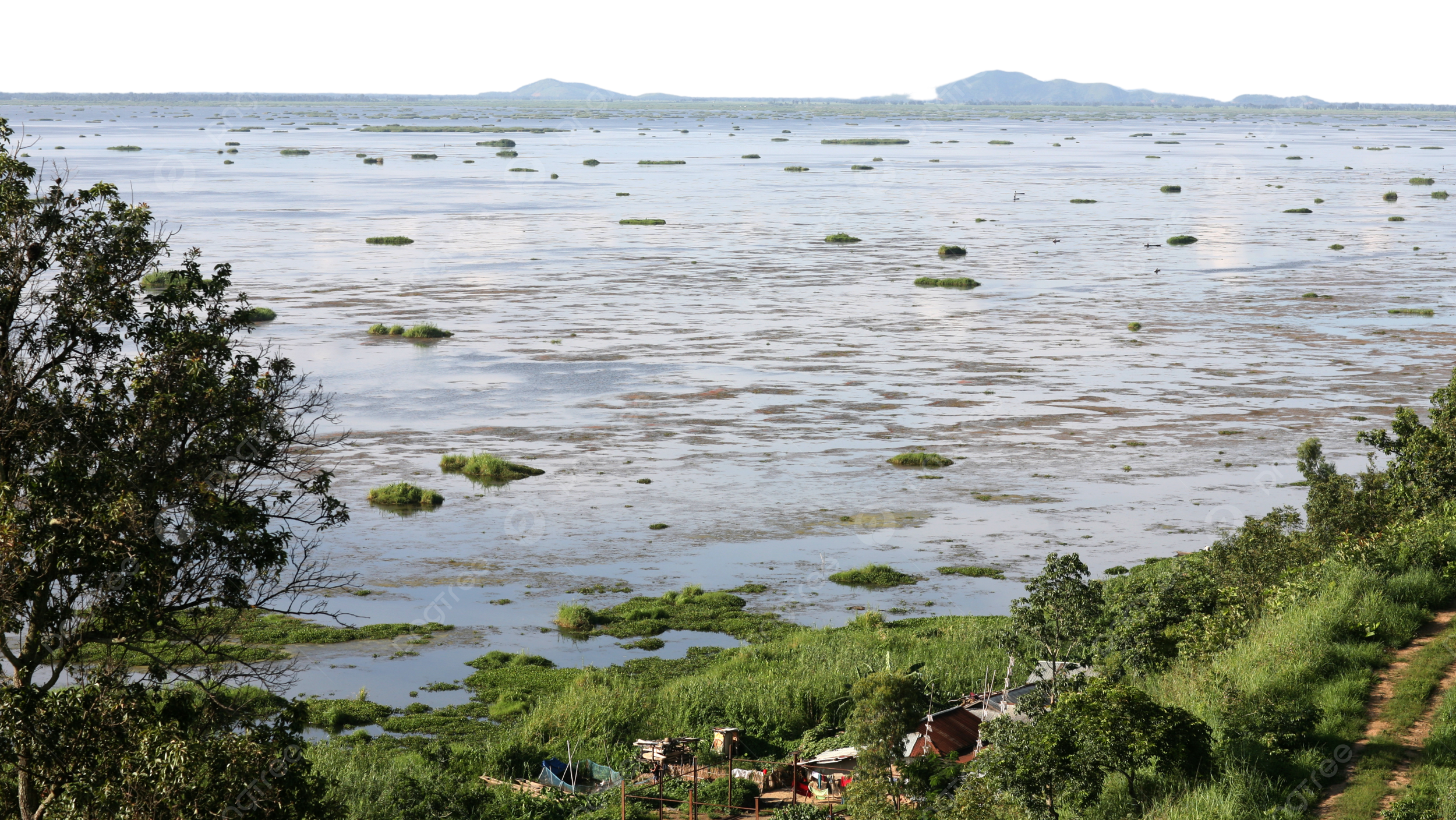 2500x1408 Loktak Lake In Manipur Lake Loktak Hills, Environment, Asian, Landscape PNG Transparent Image and Clipart for Free Download