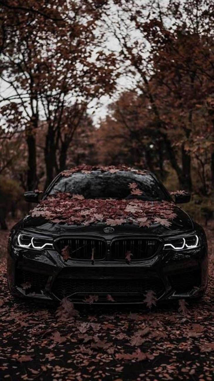 729x1296 Download Black BMW M Covered With Leaves Wallpaper