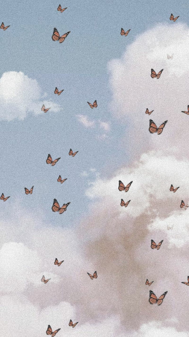 800x1424 HD angels aesthetic wallpaper