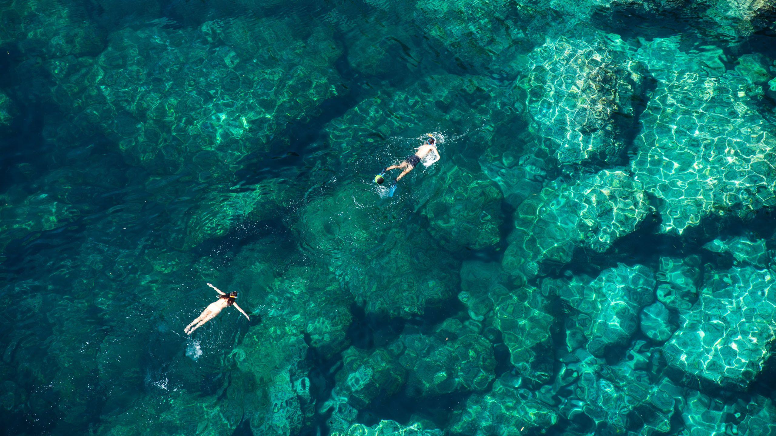2560x1440 Serengeti Safari and Zanzibar Beach Honeymoon