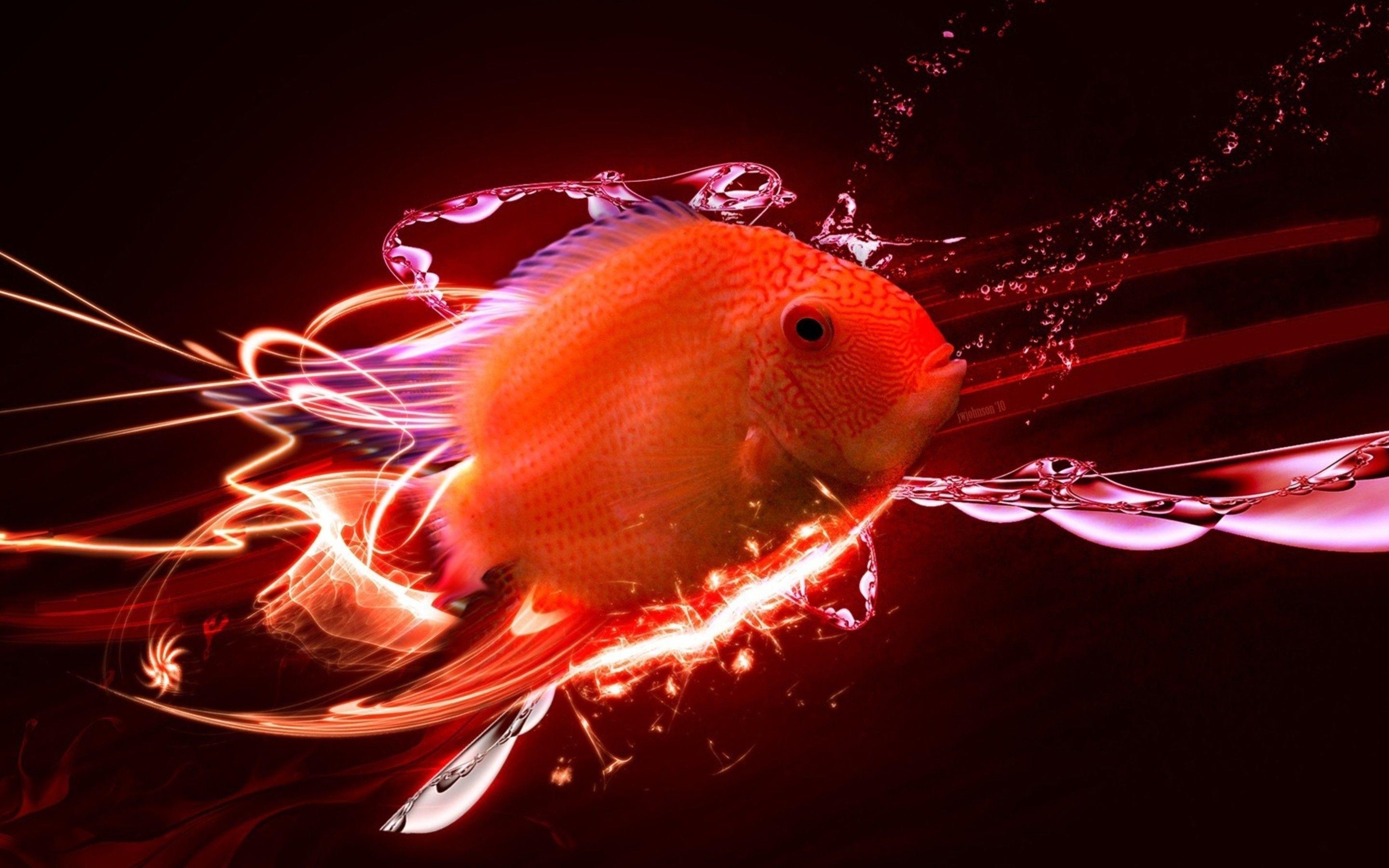 Redfish HD wallpapers  Pxfuel