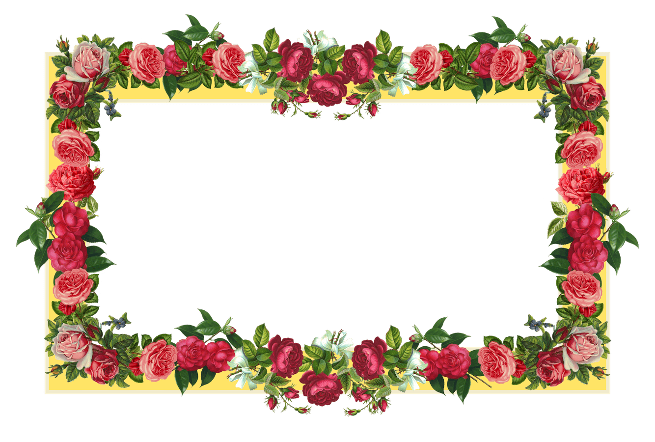 1334x900 Free Rose Flower Borders, Download Free Rose Flower Borders png image, Free ClipArts on Clipart Library