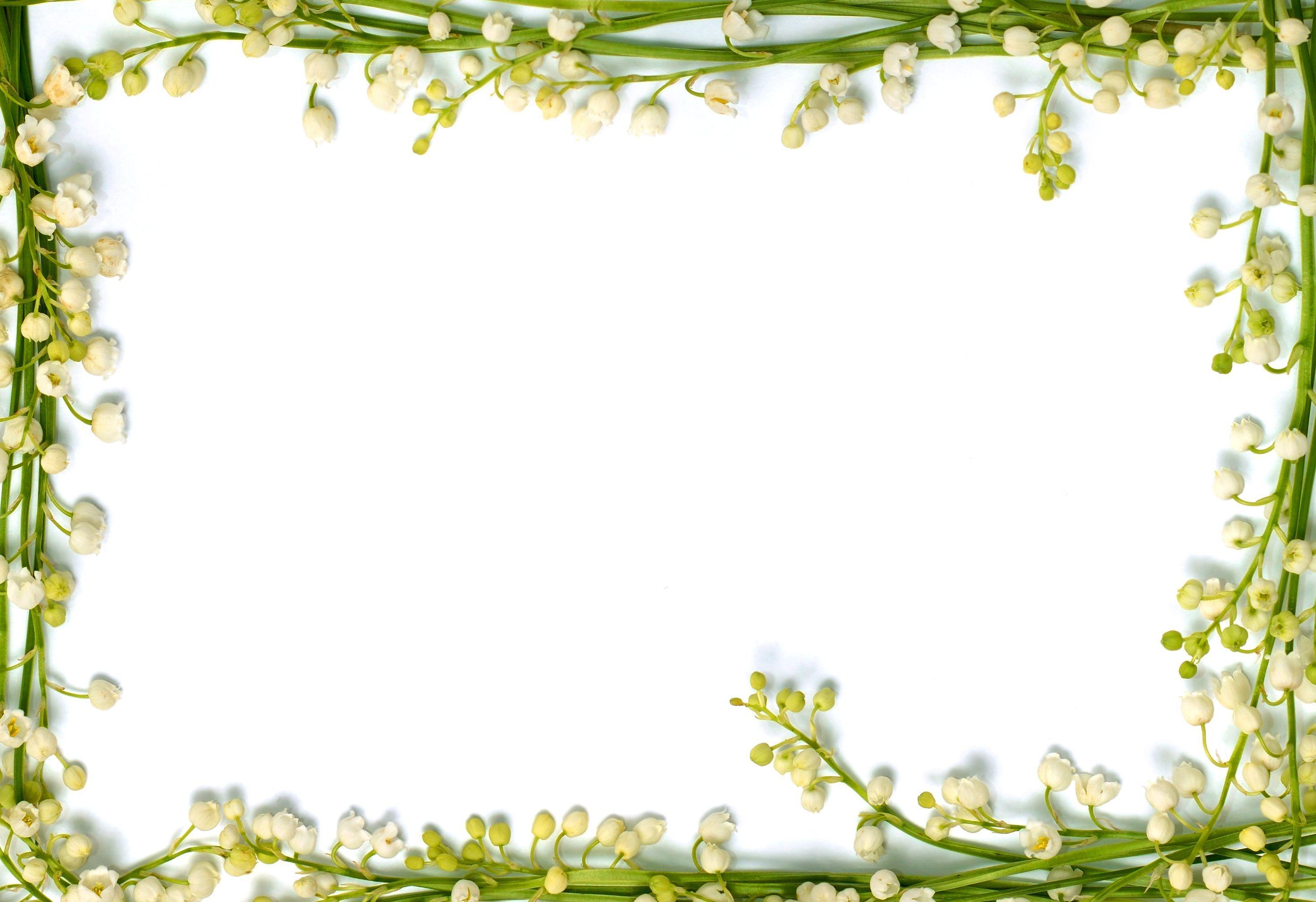 2938x2014 Border Desktop Background. Floral