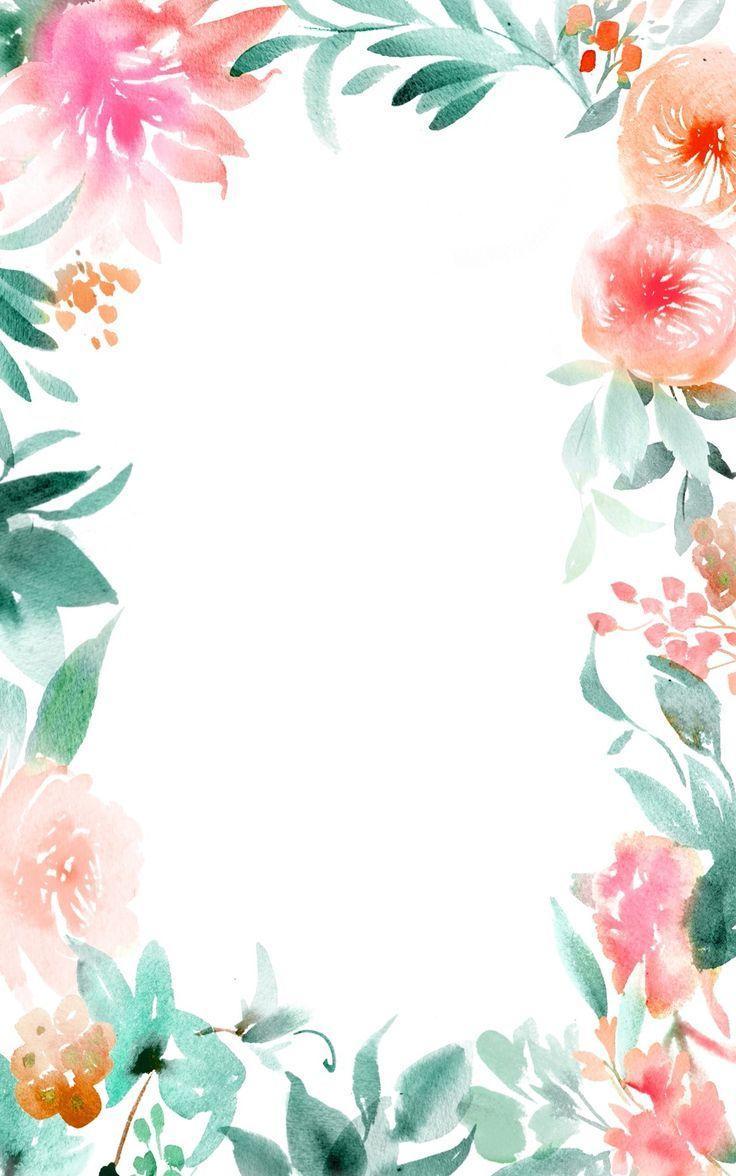 Flower Border Wallpapers Top Free Flower Border Backgrounds