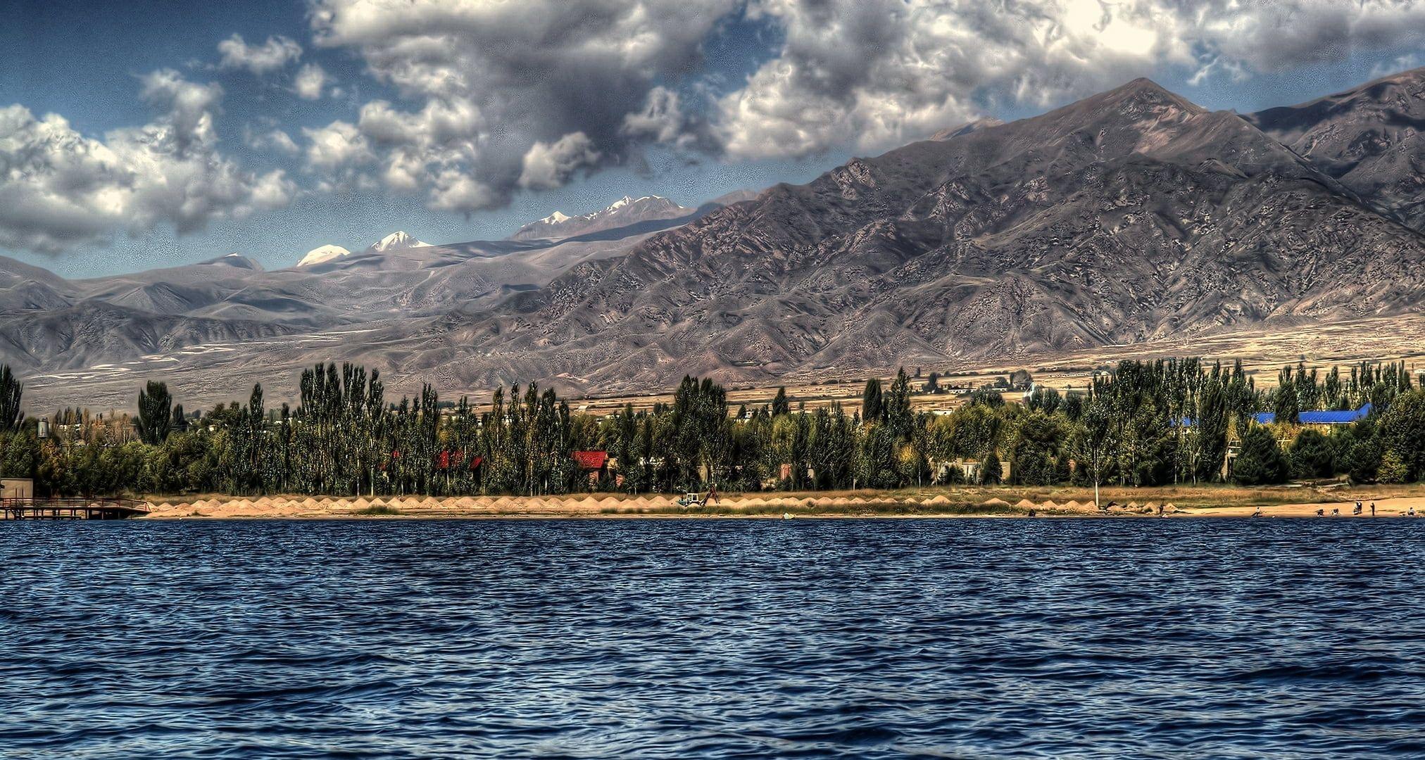 2024x1080 Green leaf trees near body of water during not nice weather