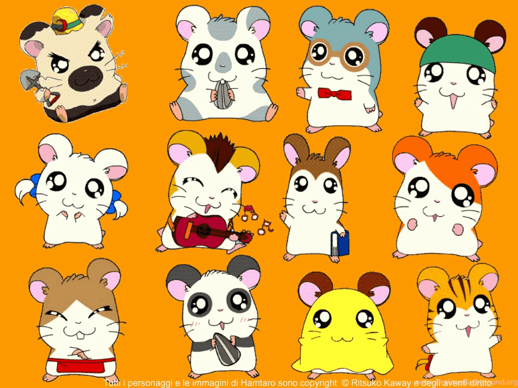 Hamtaro Characters Panda Hamtaro Characters Panda