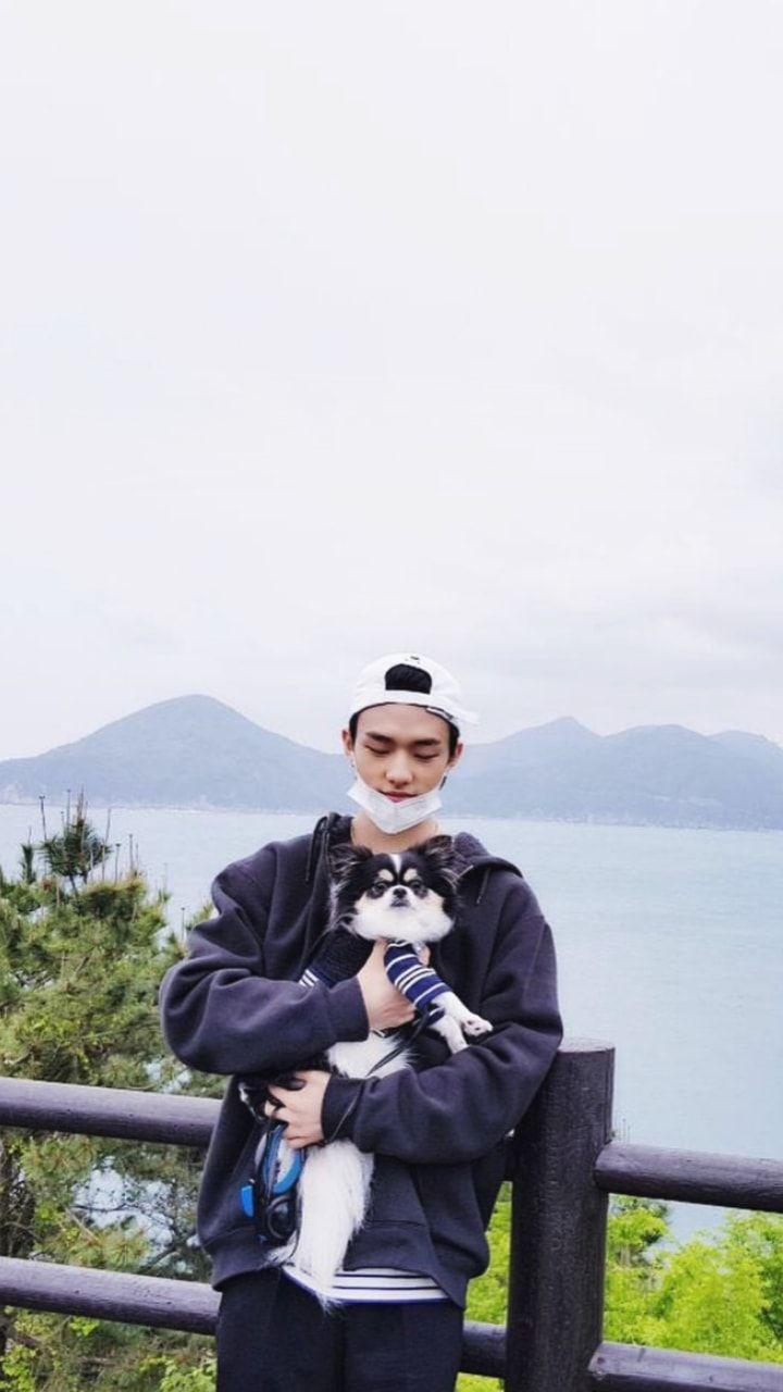 720x1280 jyp, han jisung, dog