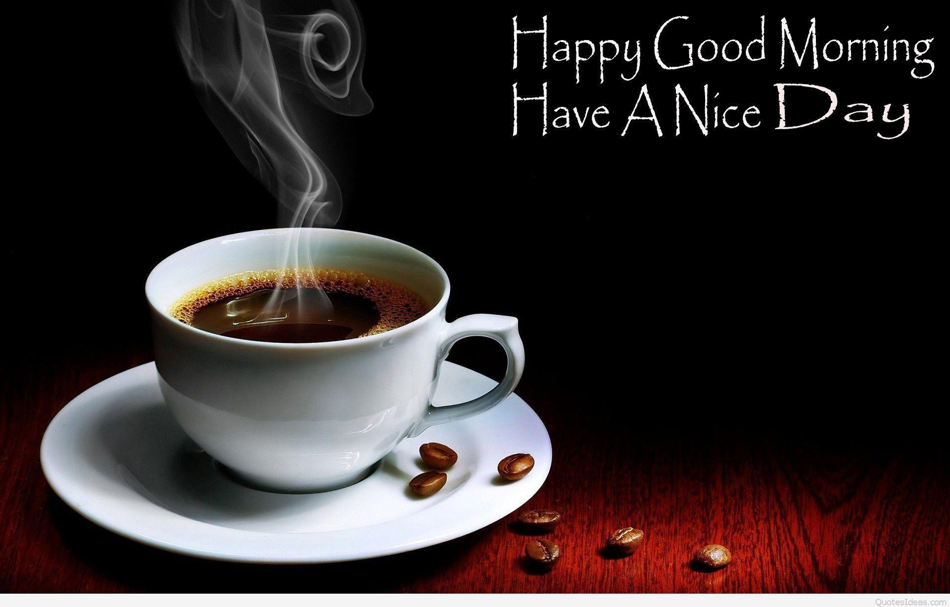 1920x1227 Coffee Cup Wallpaper