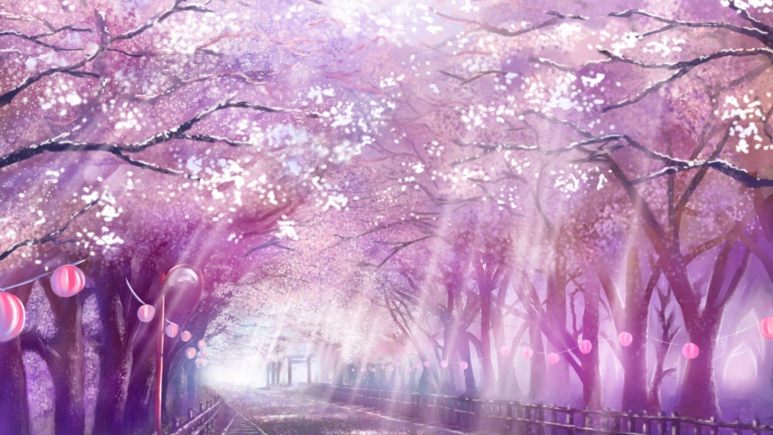 Anime Cherry Blossom 4K Wallpapers - Top Free Anime Cherry Blossom 4K  Backgrounds - WallpaperAccess