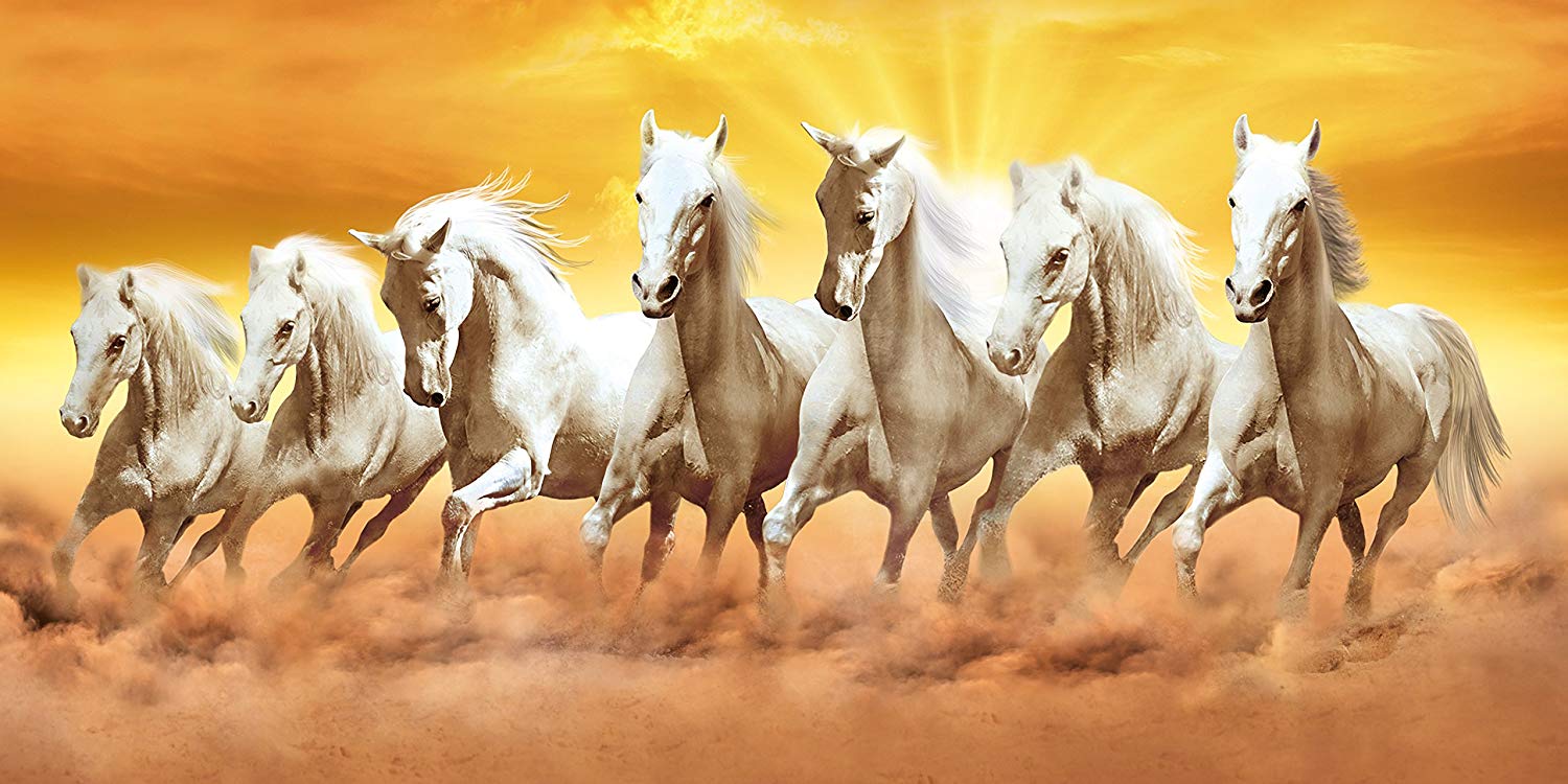 Seven White Horse Wallpaper Hd In - Tutorial Pics