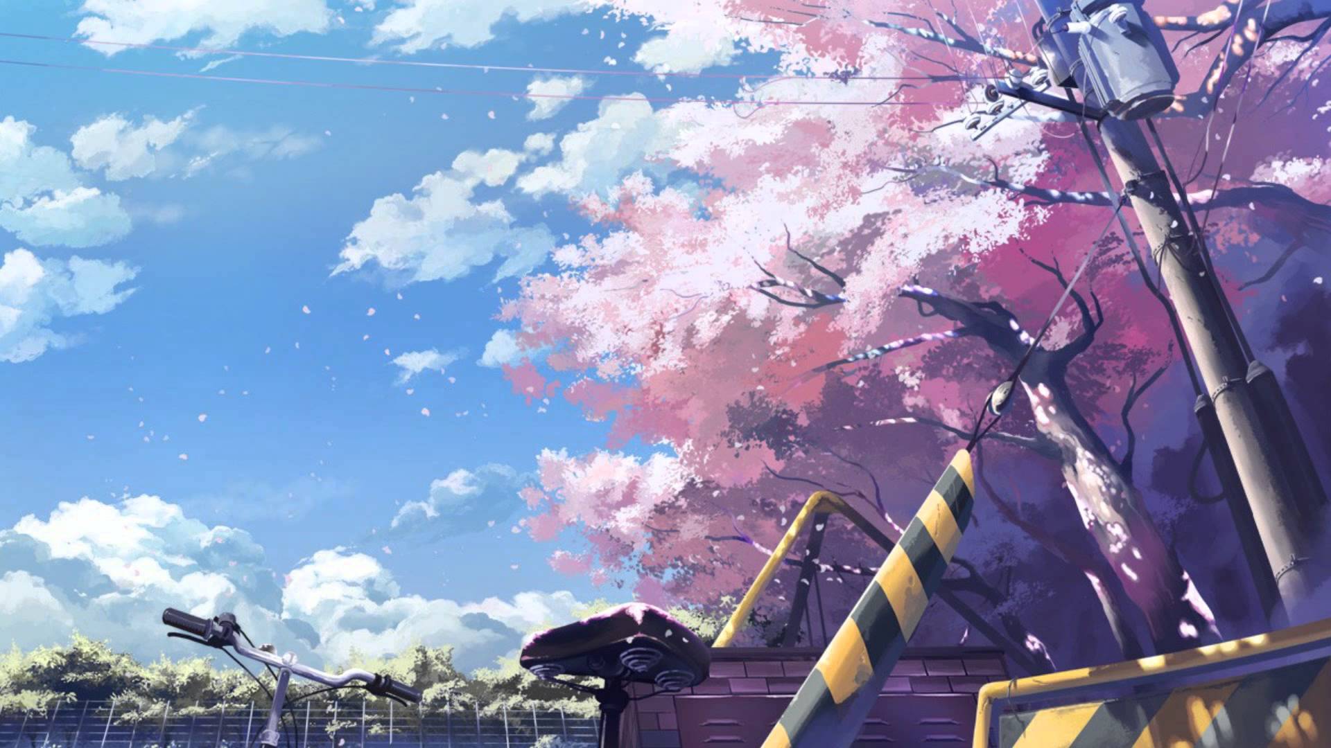 Anime Cherry Blossom Wallpapers - bigbeamng