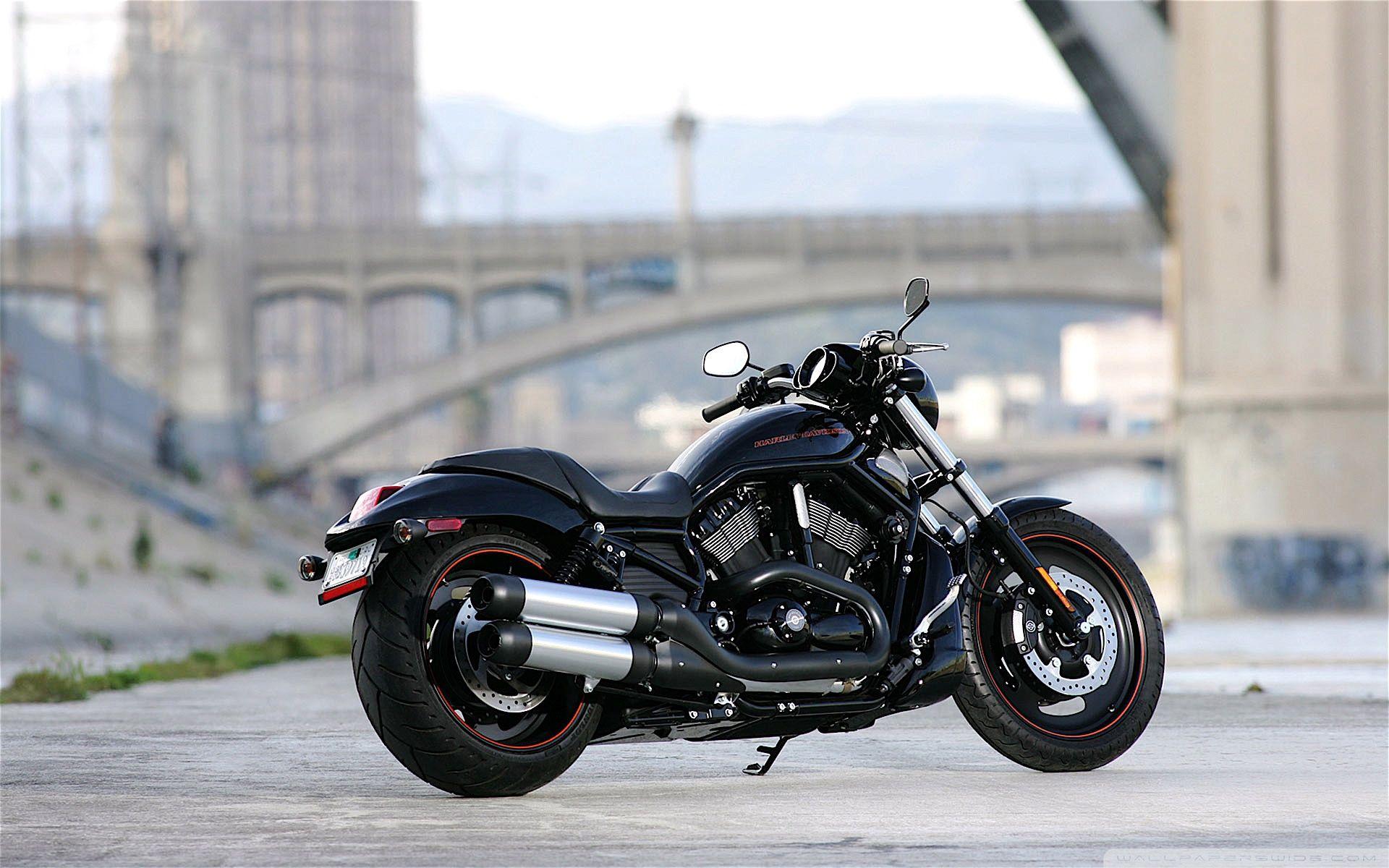 Harley-Davidson HD Wallpapers - Top Free Harley-Davidson HD Backgrounds -  WallpaperAccess