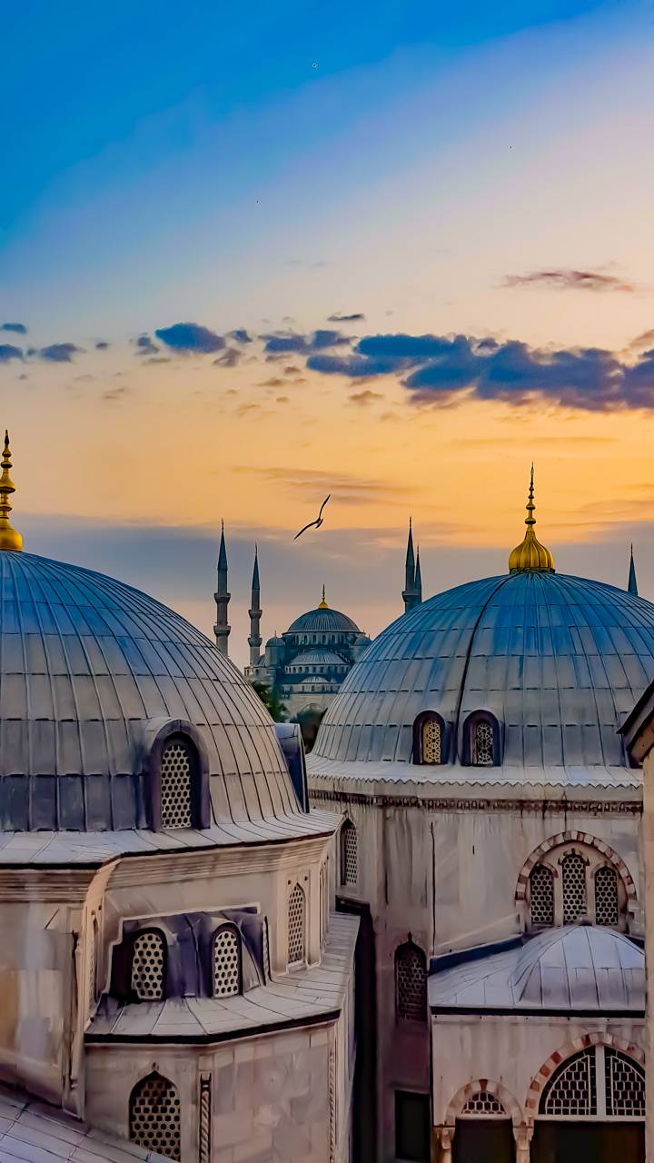 720x1280 View of Hagia Sophia wallpaper