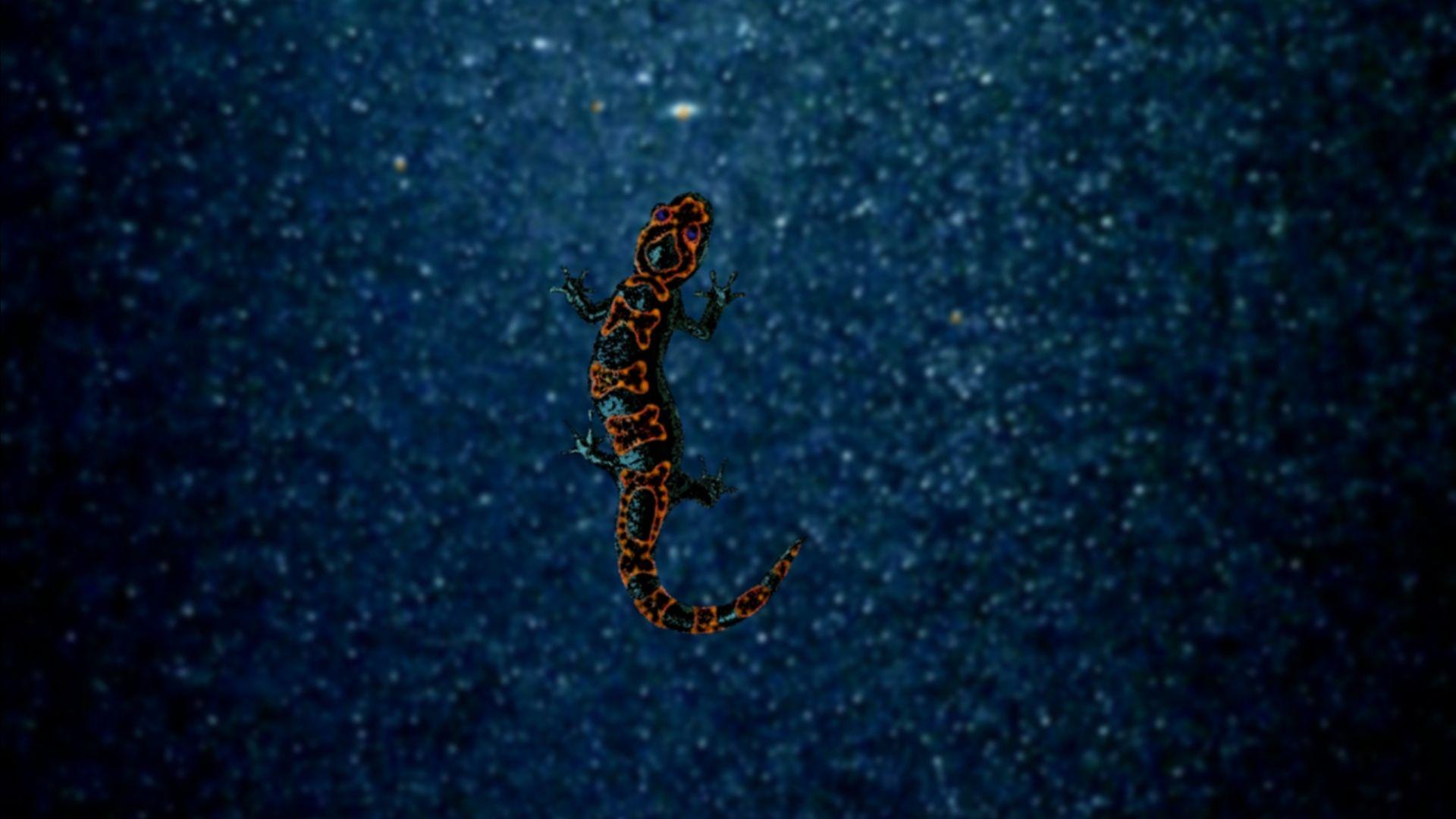 1920x1080 Free download 137 Wallpaper of Ubuntu 1310 Saucy Salamander