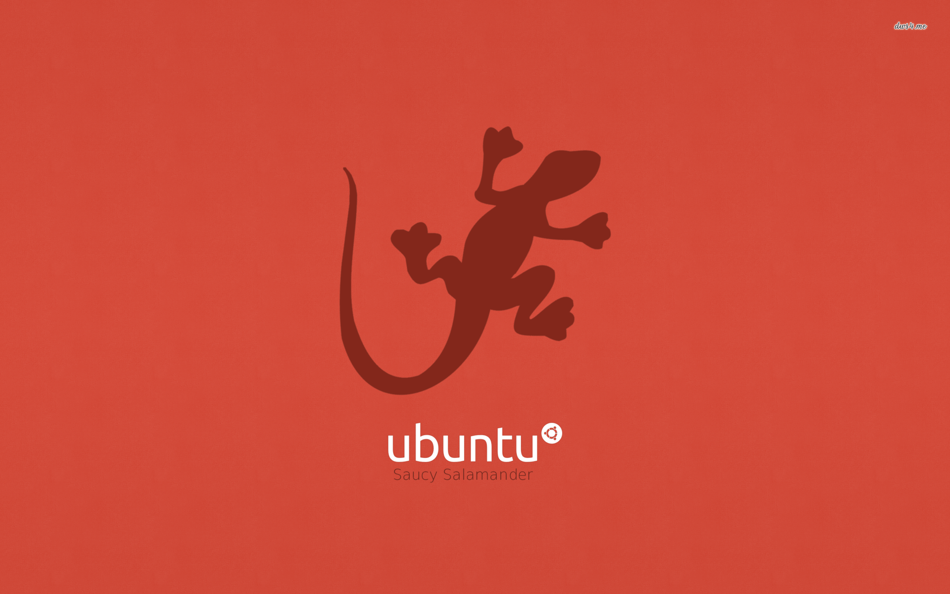 1920x1200 Ubuntu salamander wallpaper wallpaper