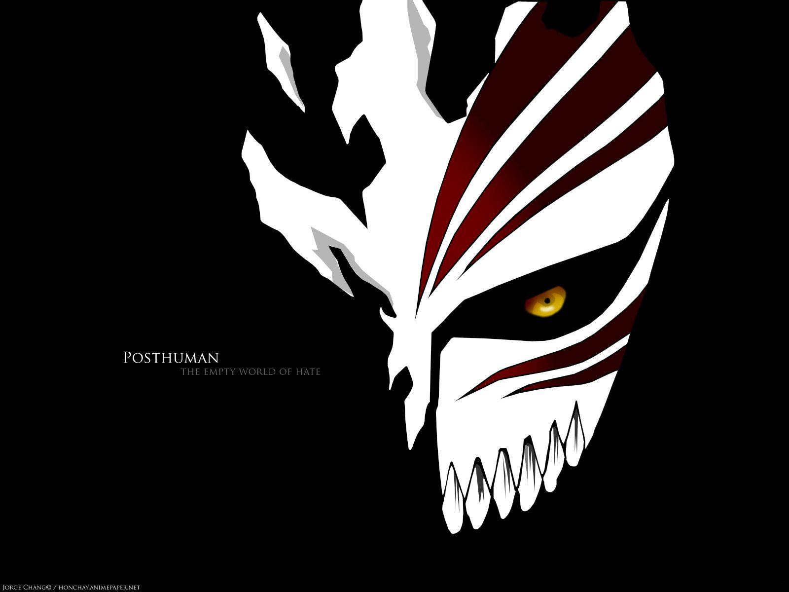 1600x1200 Anime Wallpaper Bleach Ichigo Galleryimage Mask
