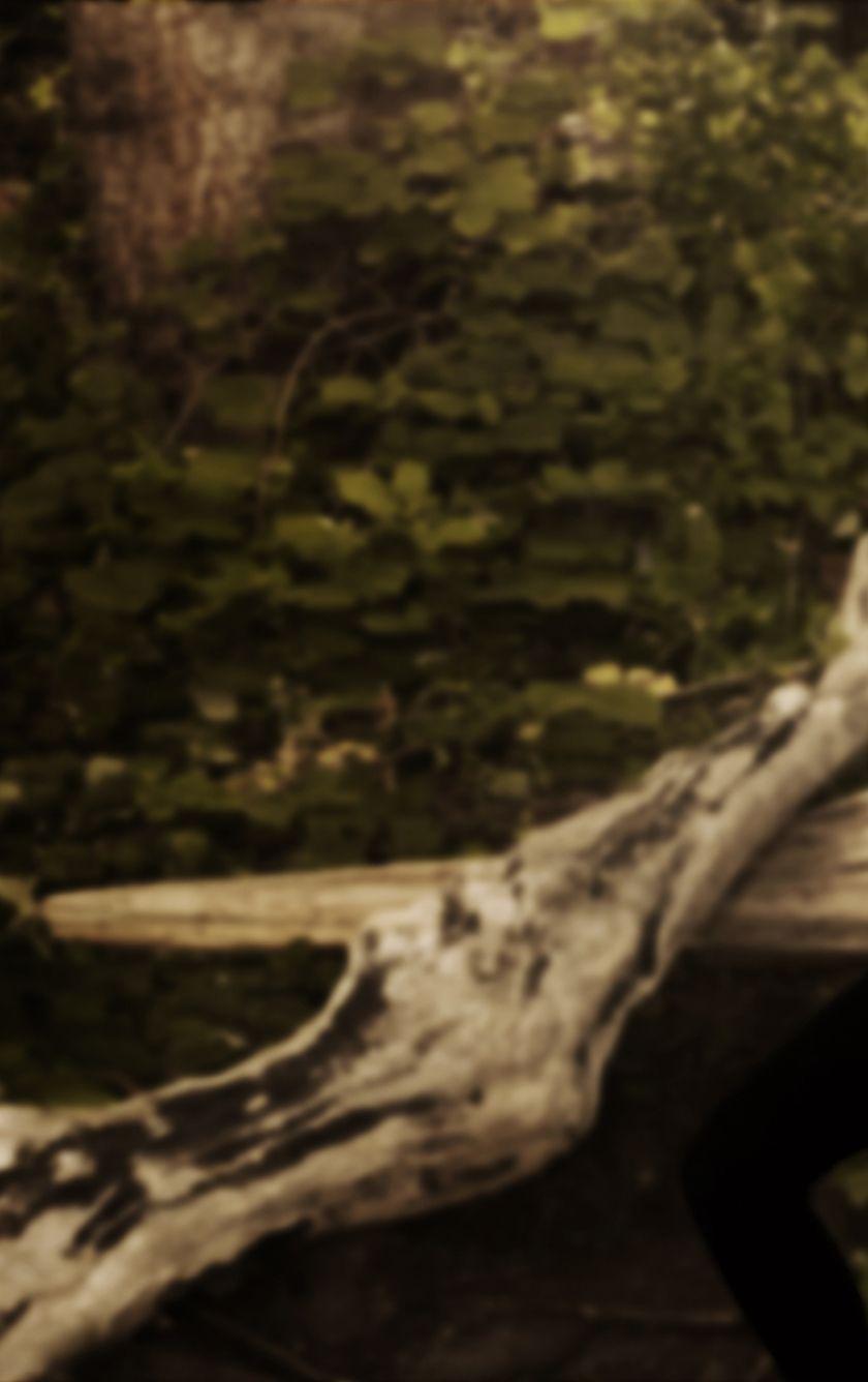840x1336 Britt Robertson Pretty HD Wallpaper 840x1336 Resolution