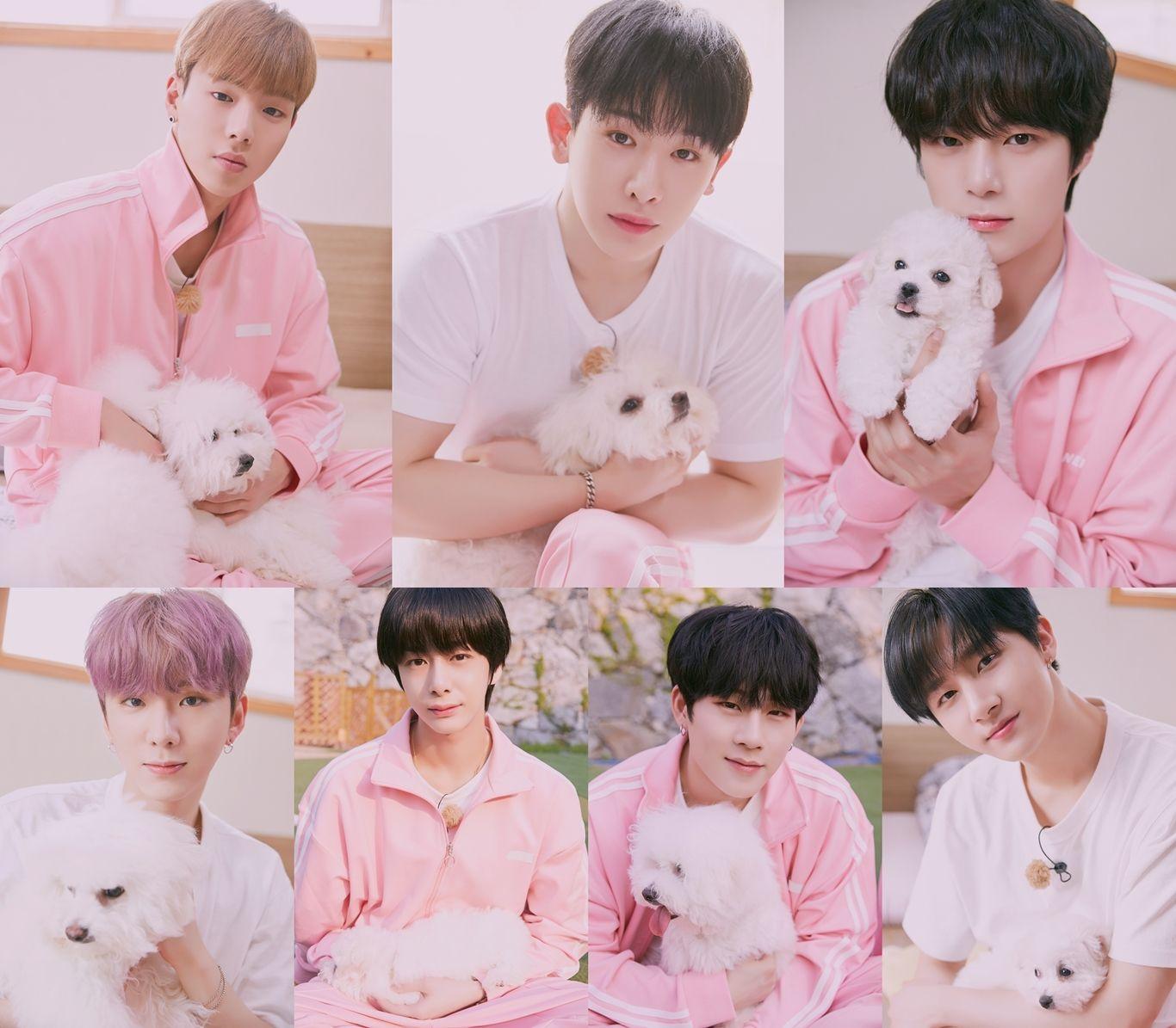 1366x1195 MONSTA X Cutely Cradles Puppies In Still Image For MONSTA X's