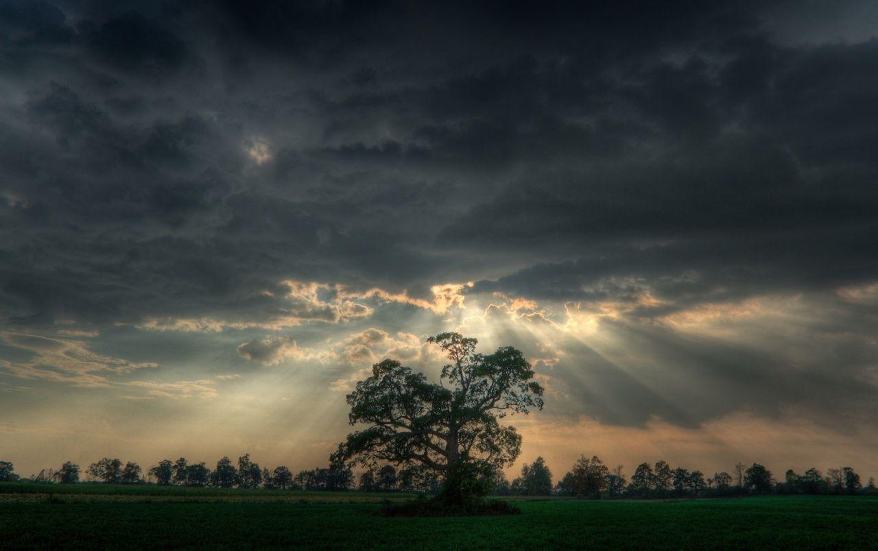 1280x804 Dark Green Field Trees Stormy wallpaper. Dark Green Field Trees