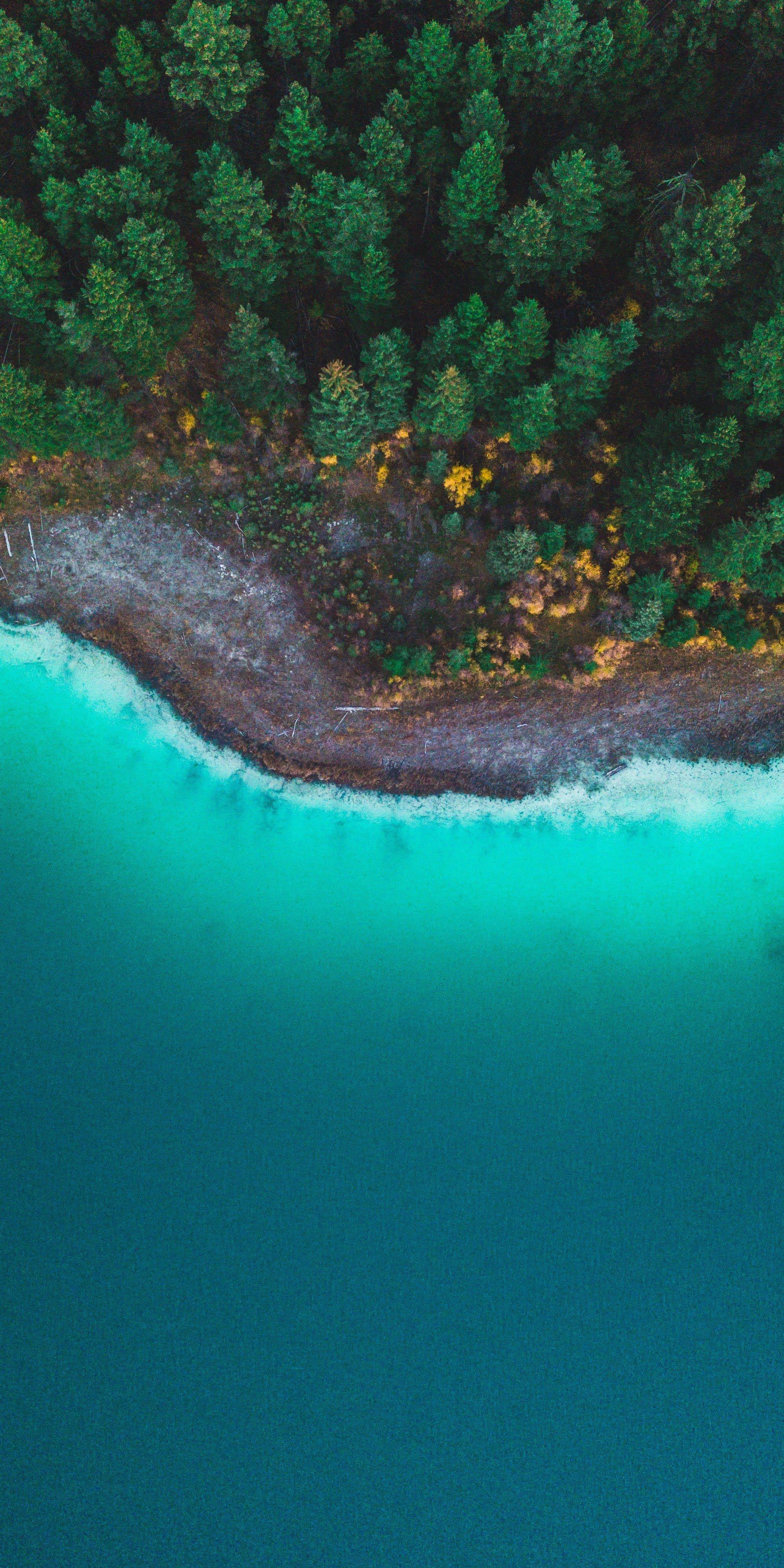 1996x3992 Xiaomi Redmi Note 7 Wallpaper
