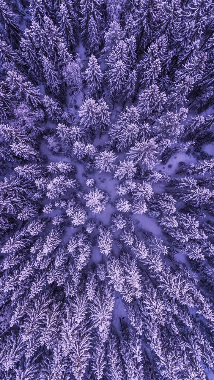 720x1280 Xiaomi Redmi Note 7 wallpaper