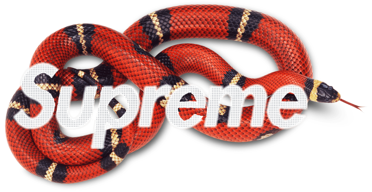 SupremeAndGucciSnake, gucci, supreme, HD phone wallpaper