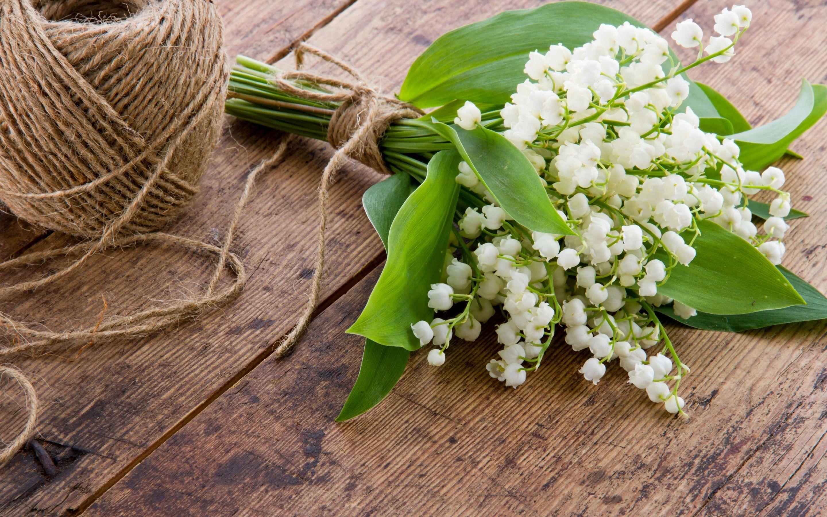 2880x1800 bouquet wallpaper, desktop wallpaper