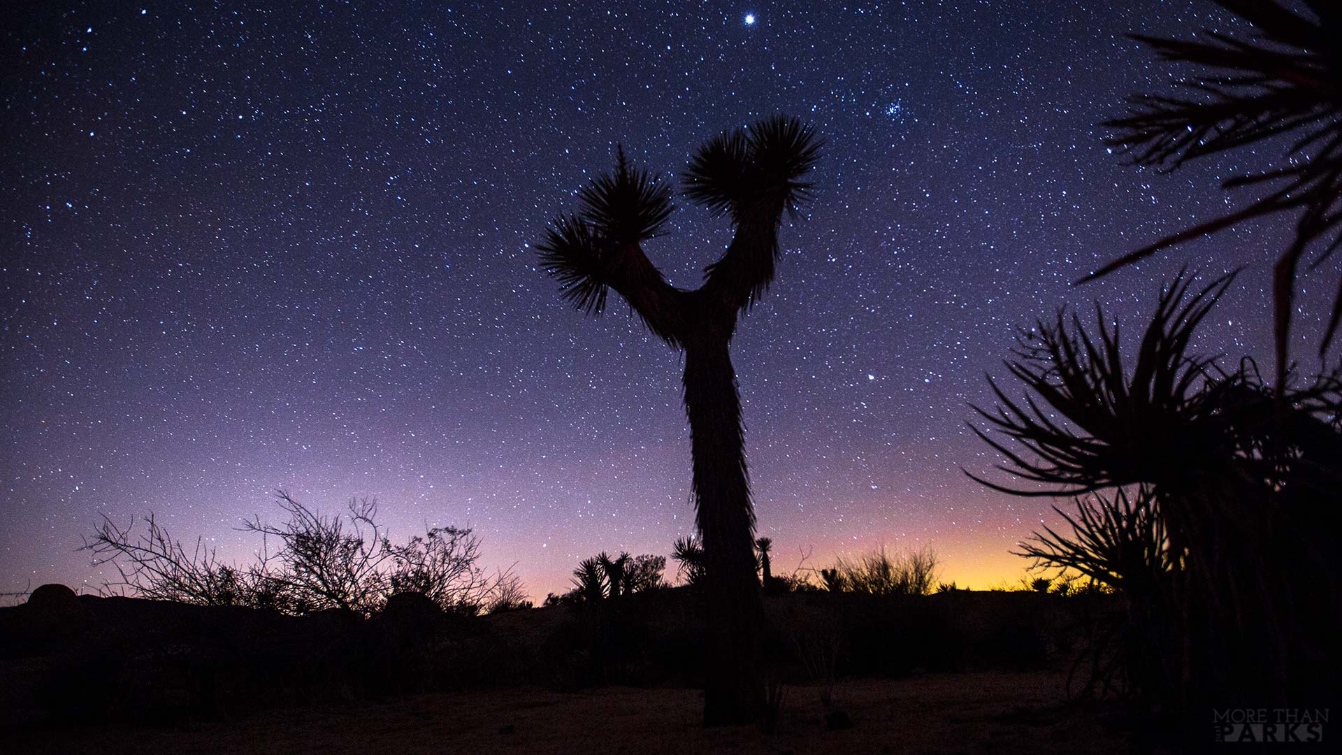 1920x1080 Laptop wallpaper, Tree, sky, stars, H:4188661140