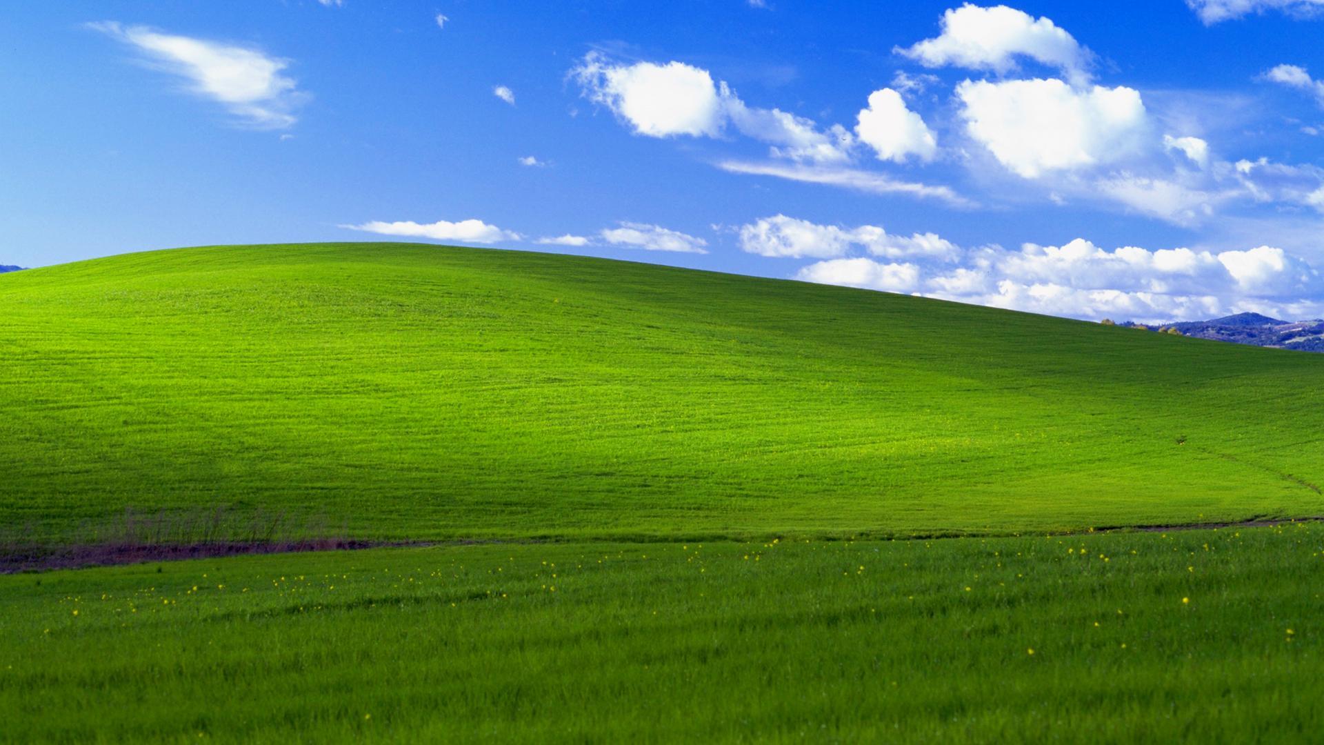 Hình nền huyền thoại trên Windows XP một thời Được Microsoft trả hơn  100000 USD vào năm 2000 đến nay vẫn xanh tốt như ngày nào
