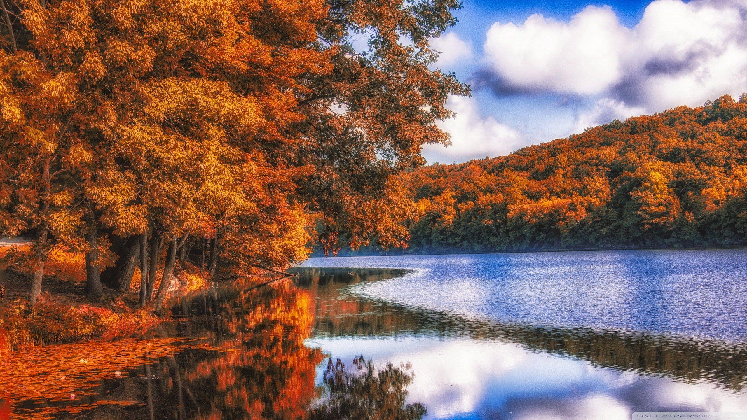 2560x1440 Lake Forest Autumn 4k HD Desktop Wallpaper For 4k Ultra