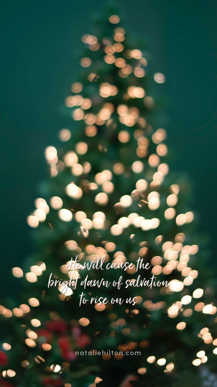 736x1308 Christmas Wallpaper