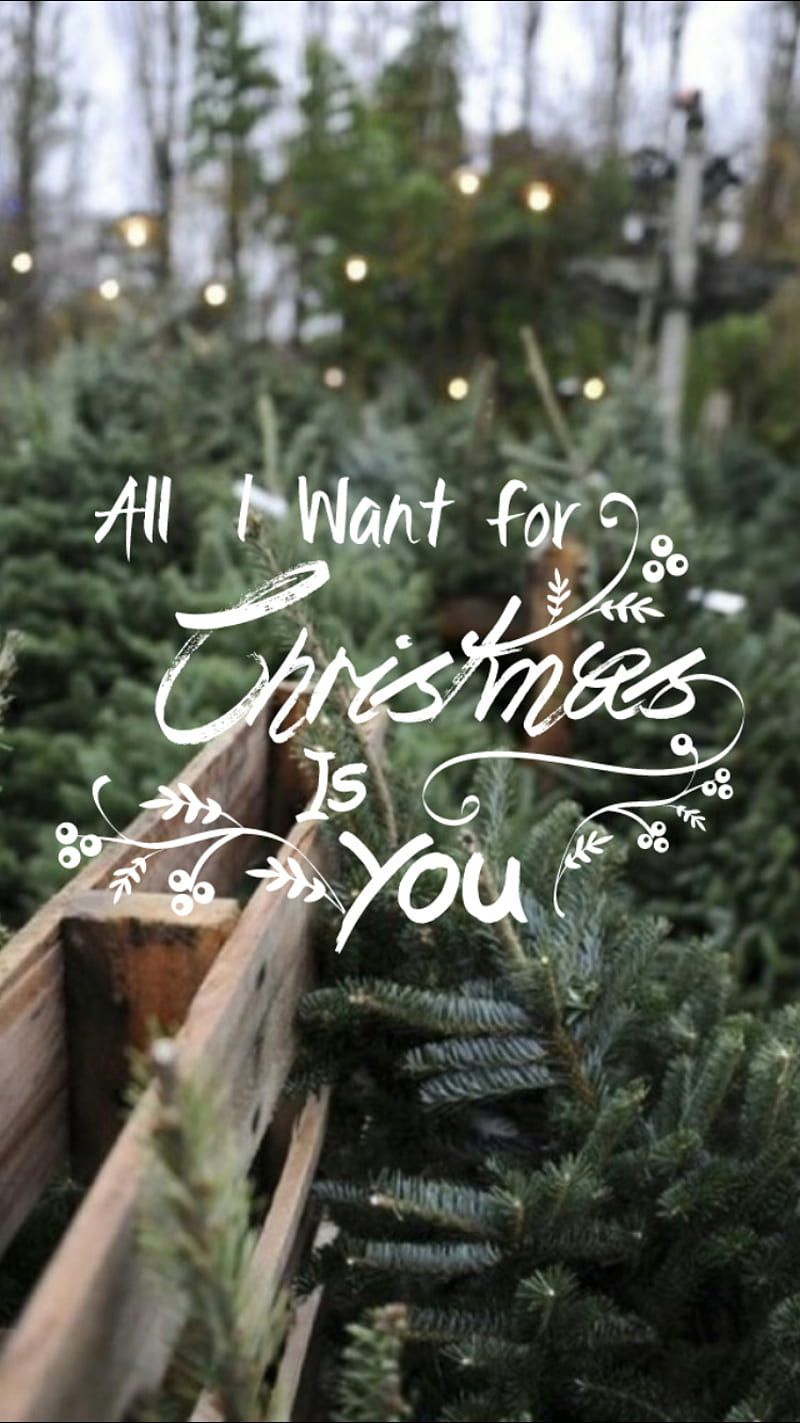 800x1423 All I want for Xmas, quotes, mariah carey, xmas, christmas, winter, snow, december, HD phone wallpaper