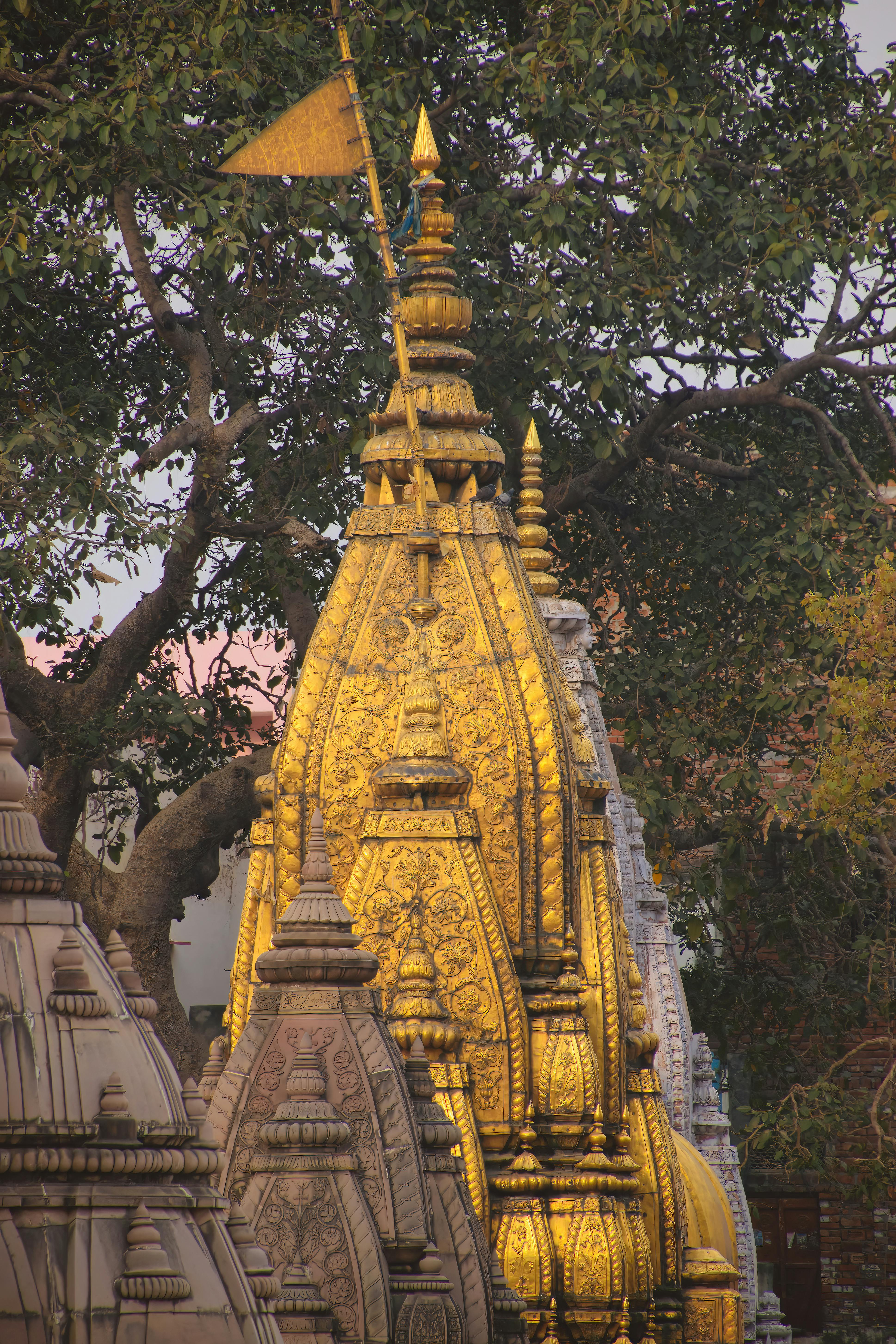 3875x5813 Kashi Vishwanath Temple in Varanasi · Free