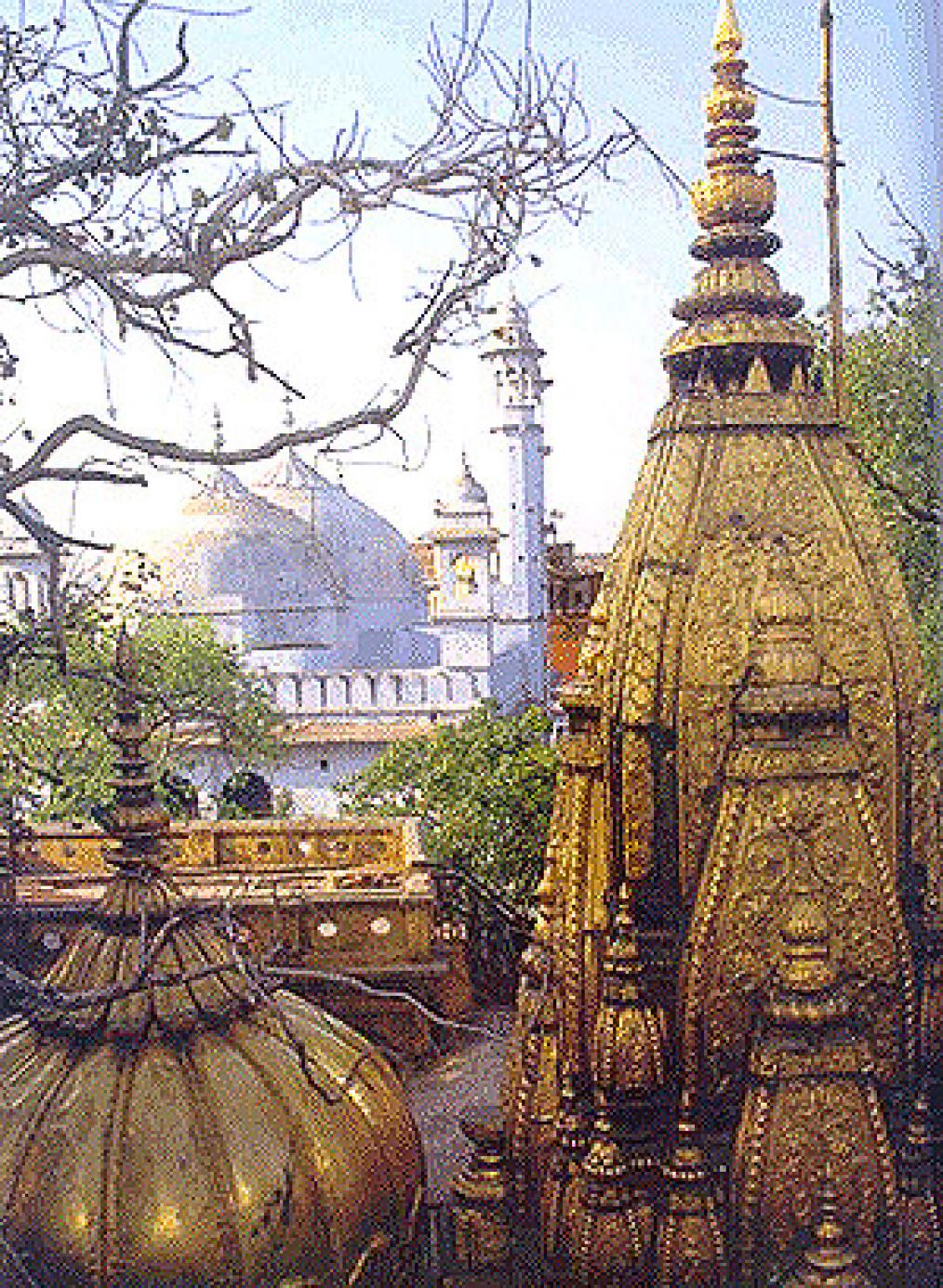 1014x1385 Divine Thought - Temples, Mantras, Slokas, Festivals, Facts of God: INDIAN HINDU TEMPLE VISHWANATH JYOTIRLING PHOTO
