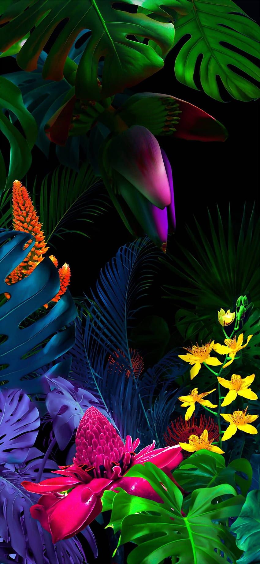 850x1843 Vivo X60 Pro Stock HD phone wallpaper
